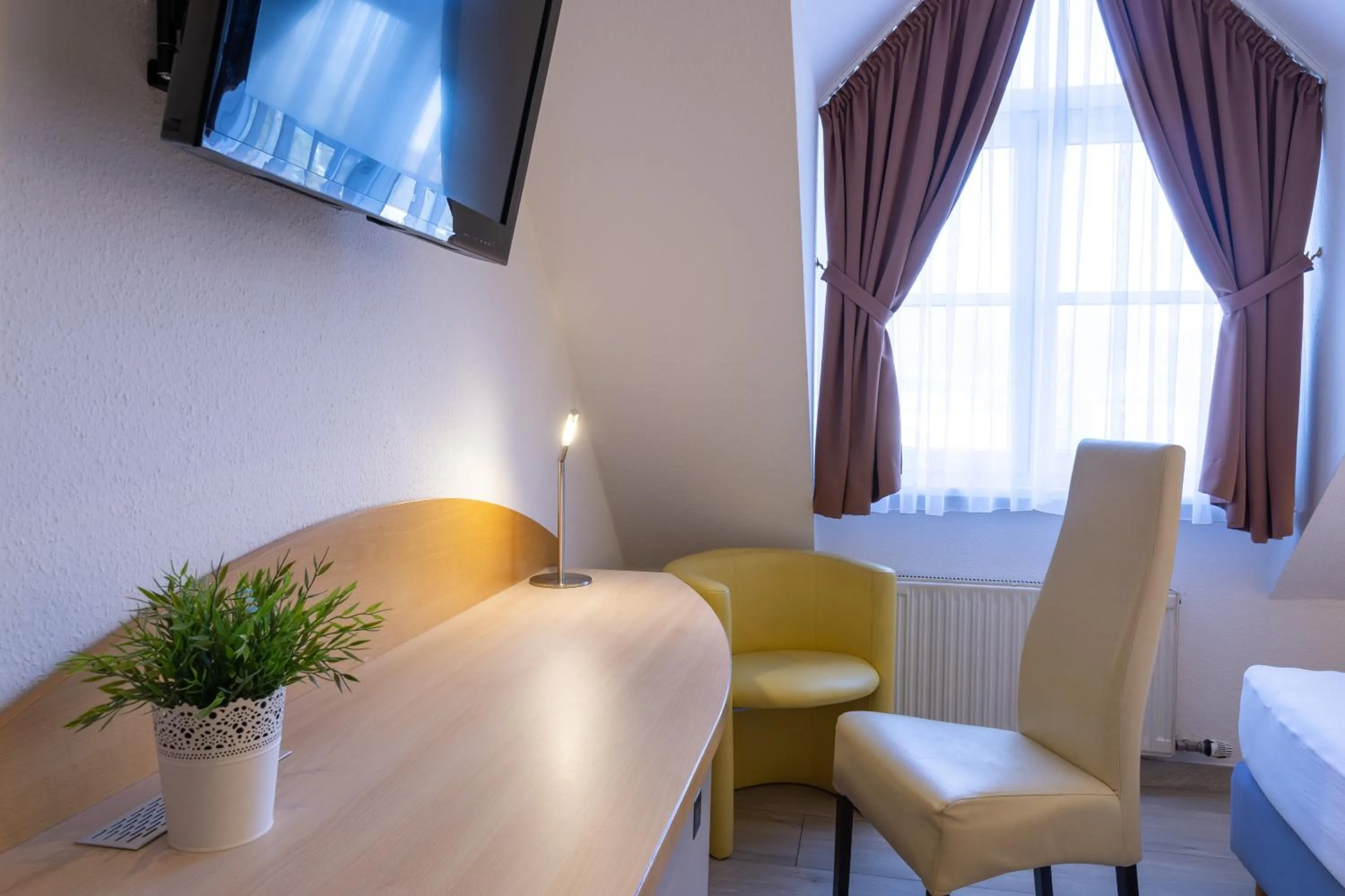 TV and multimedia in Hotel Alte Mühle