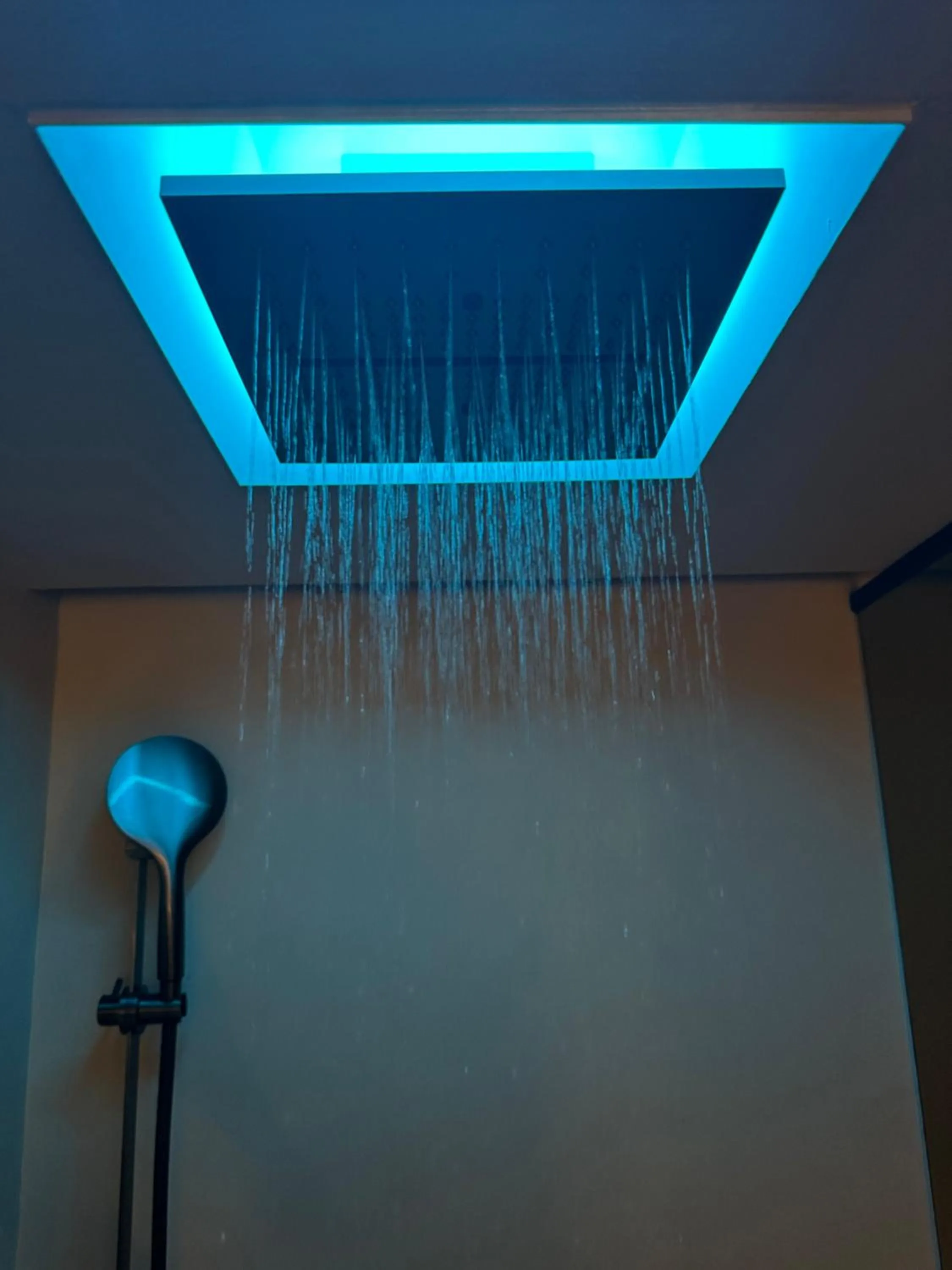 Shower in Hotel Bellerive