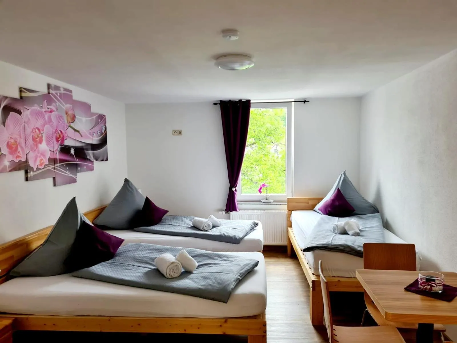 Standard Twin Room with Shared Bathroom - single occupancy in my Hostel Füssen