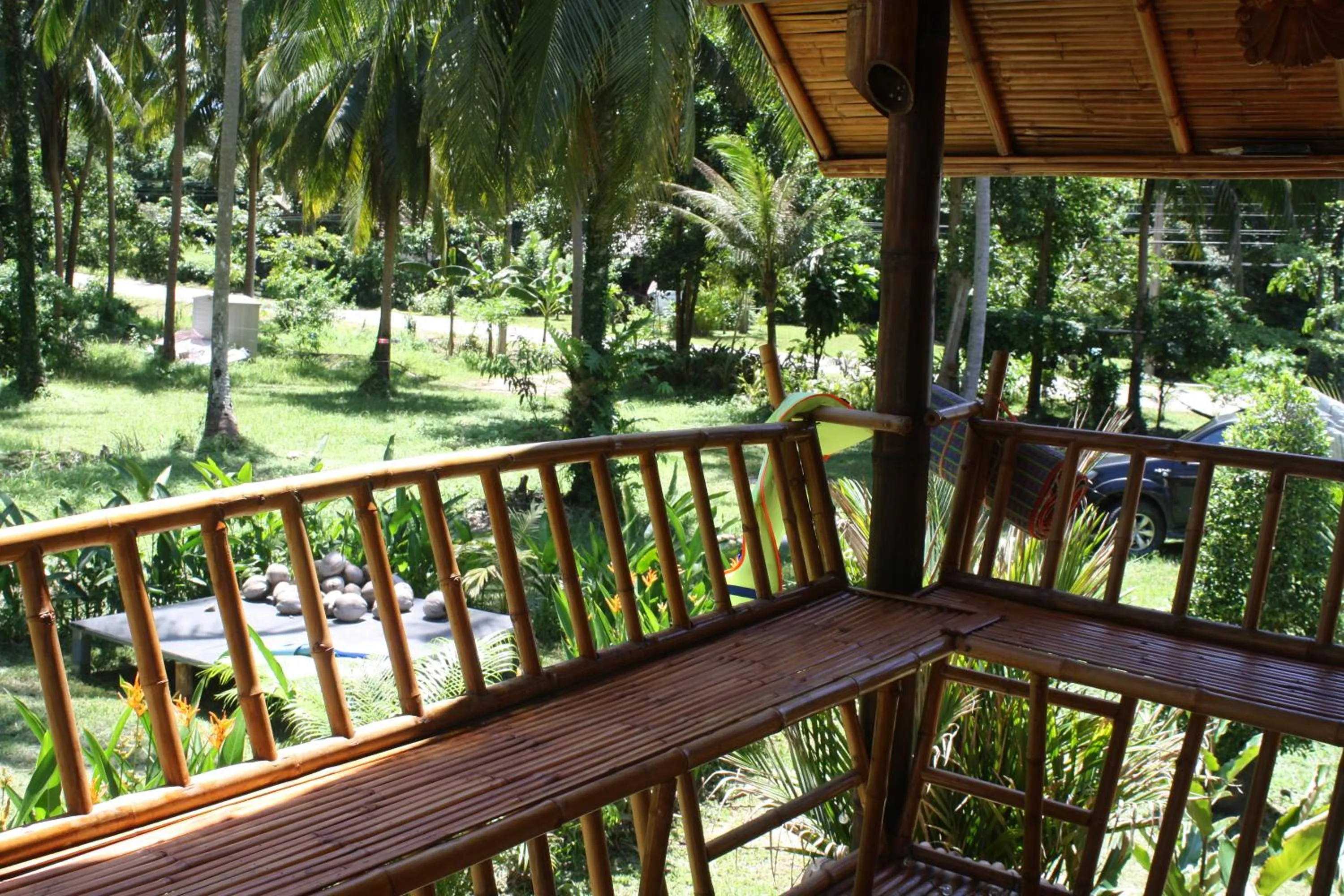 Garden view in Kuba Bungalows