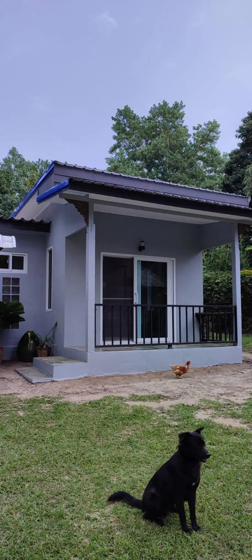 Property building in Kuba Bungalows