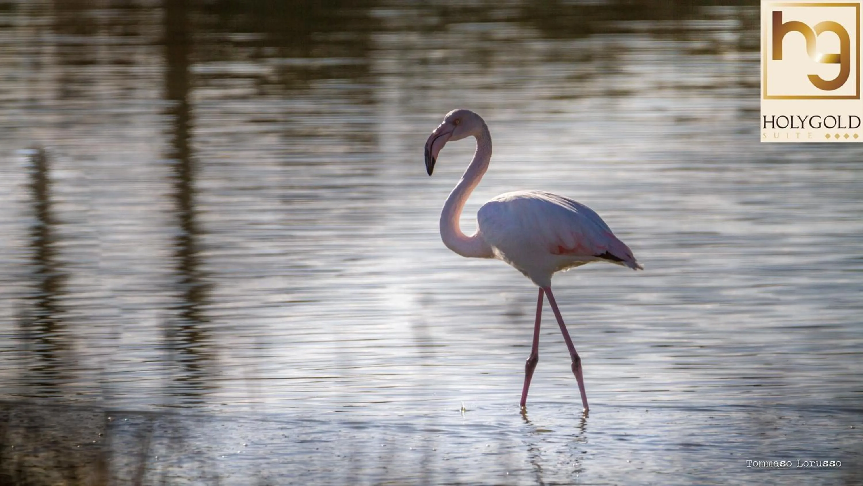 Natural landscape in HOLYGOLD Suite ****