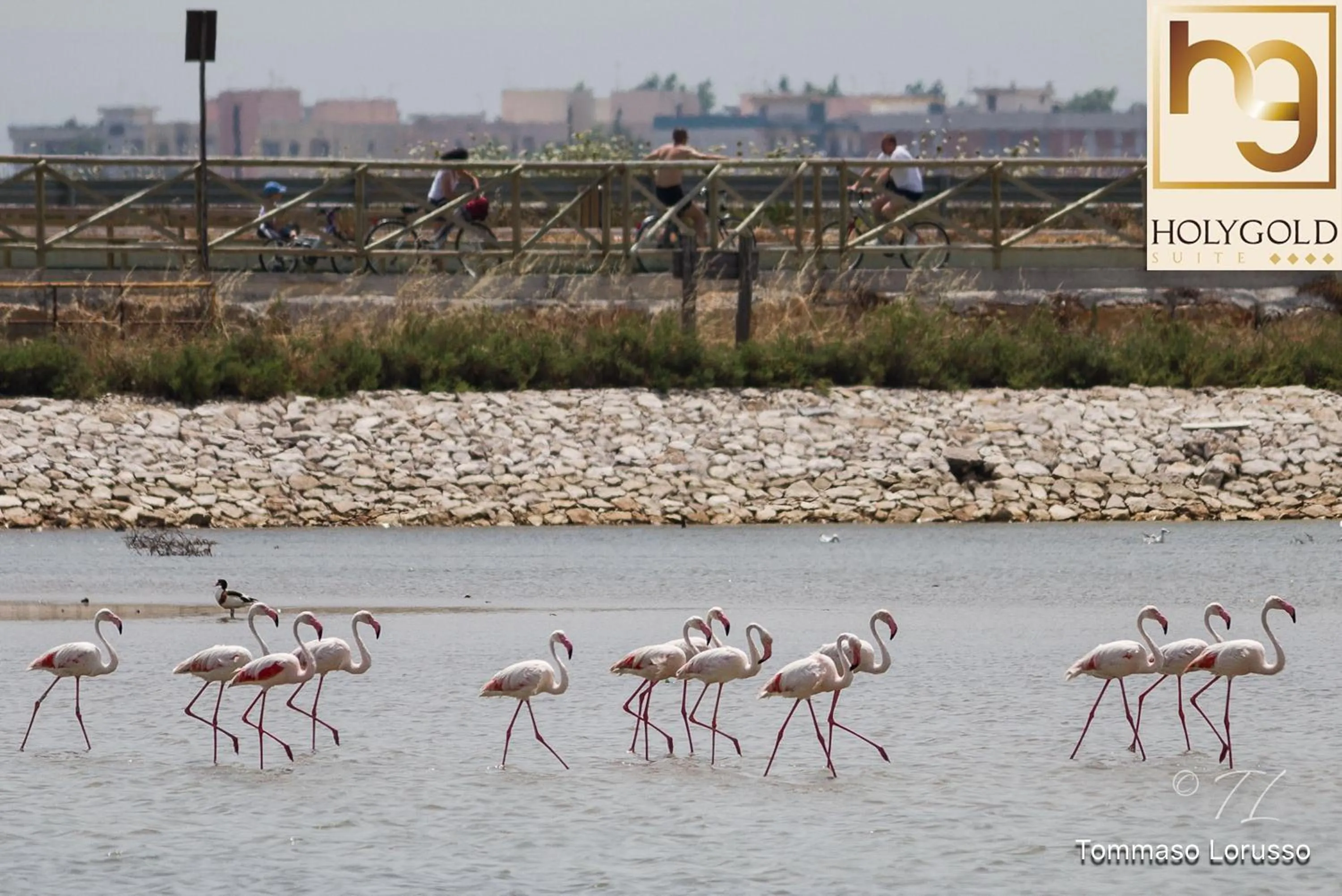 Hiking in HOLYGOLD Suite ****