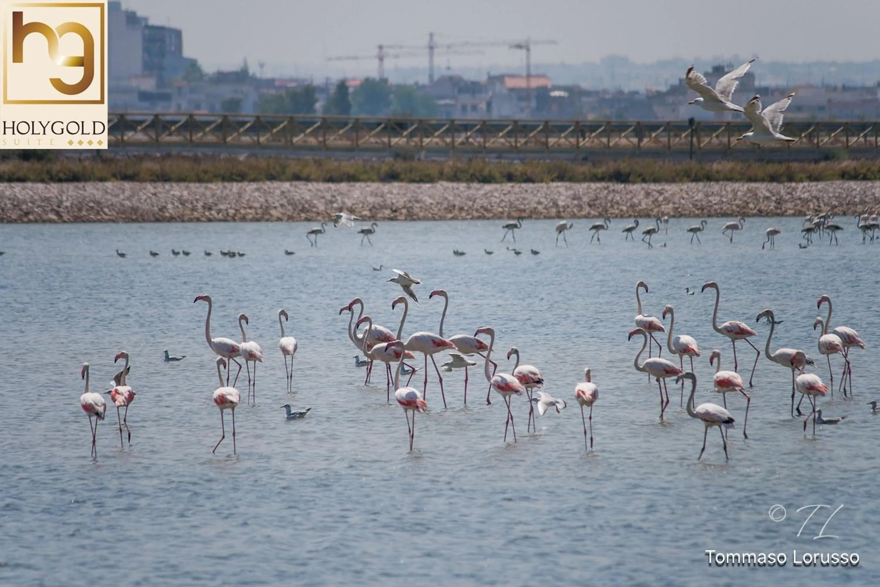 Hiking in HOLYGOLD Suite ****