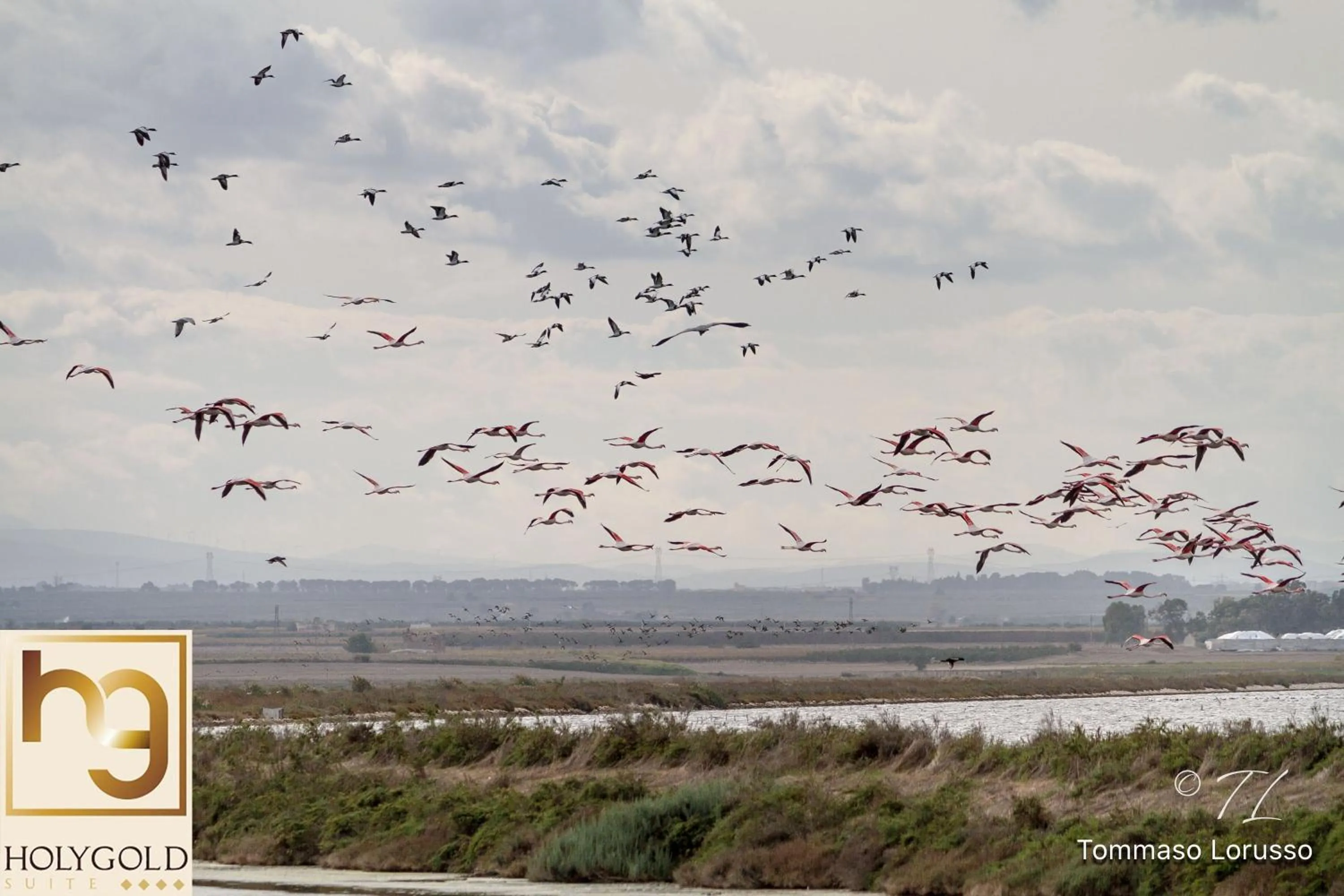 Natural landscape in HOLYGOLD Suite ****