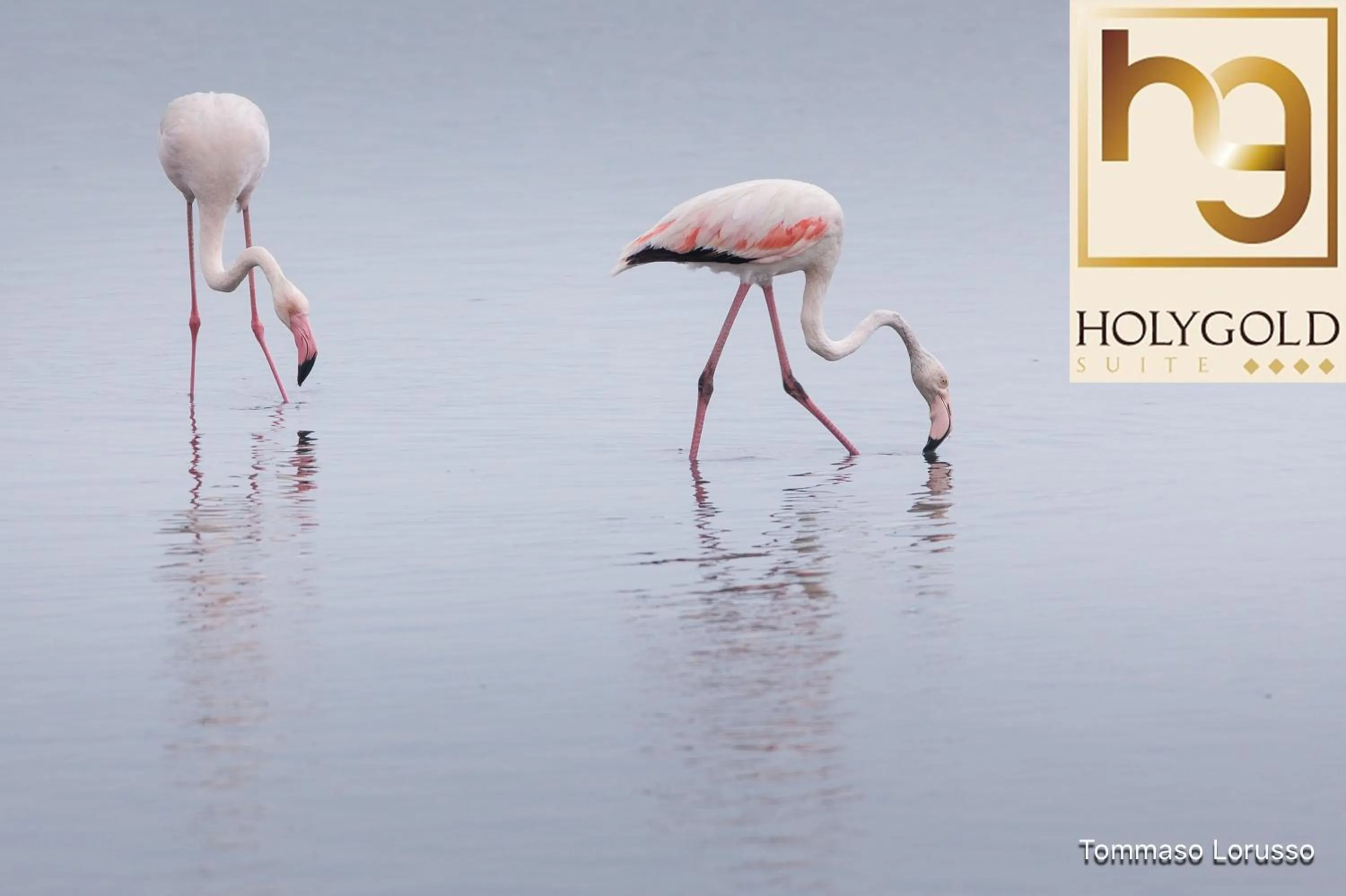 Natural landscape in HOLYGOLD Suite ****