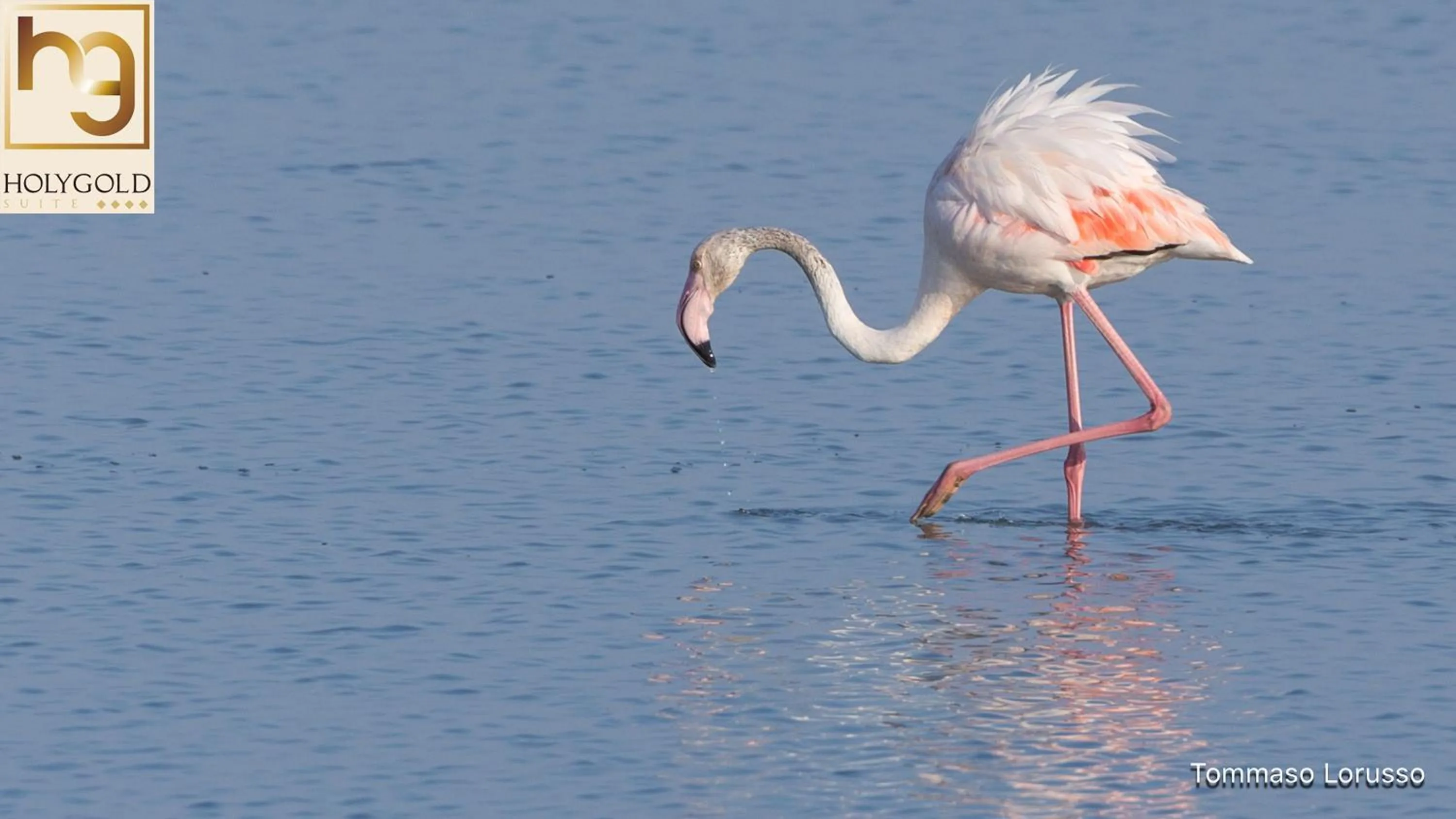 Natural landscape in HOLYGOLD Suite ****