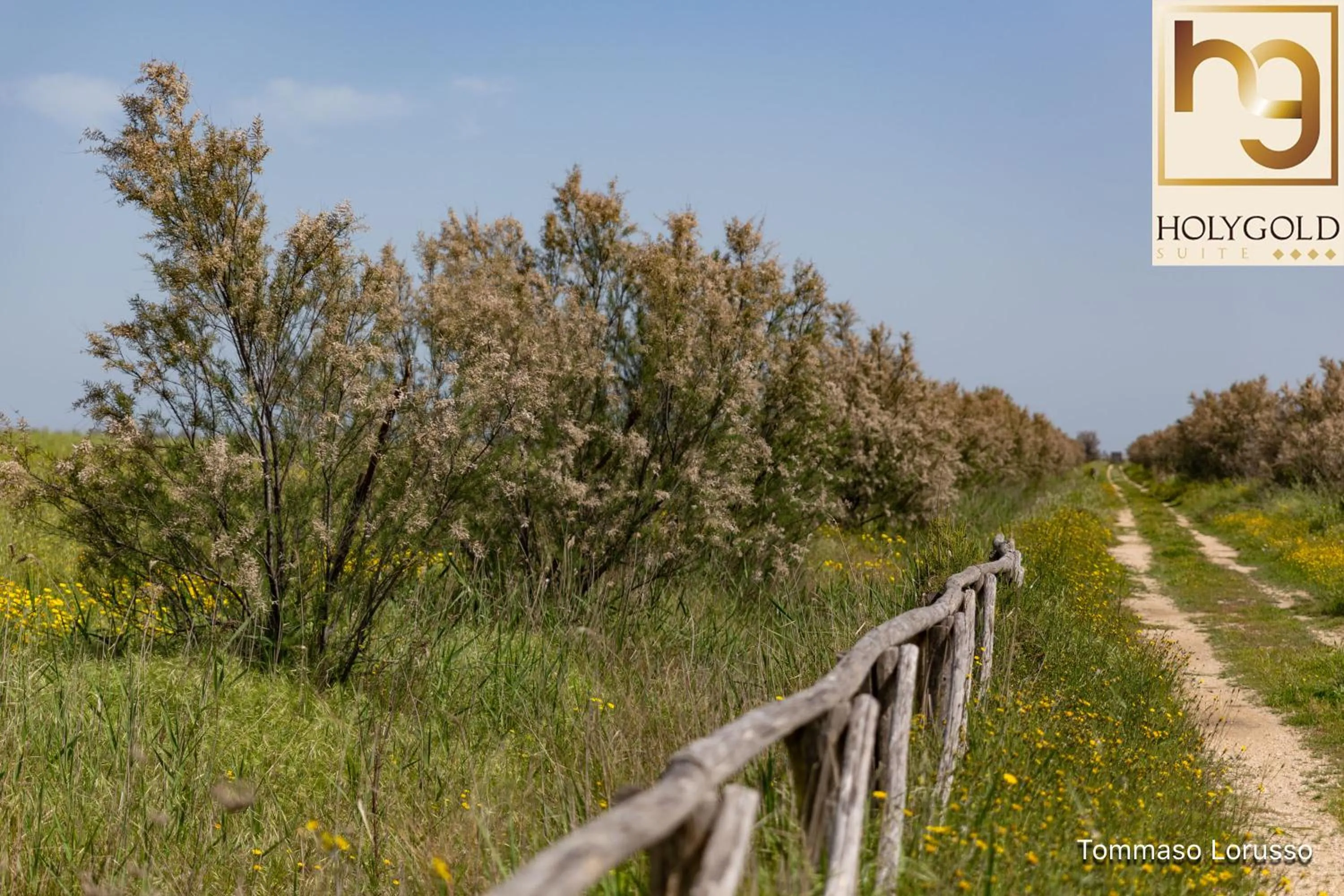 Hiking in HOLYGOLD Suite ****