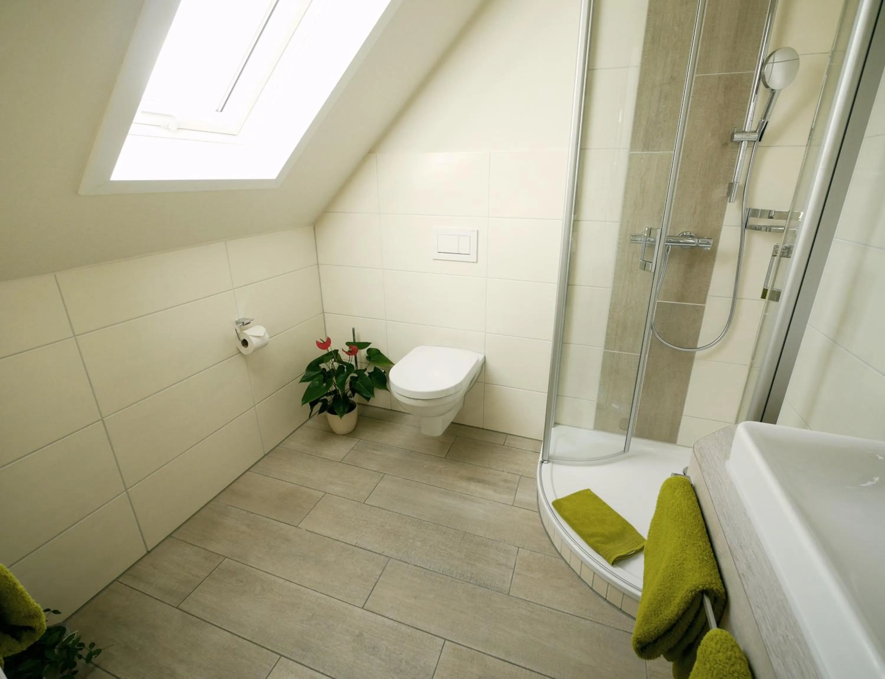 Shower in WohnGut Koblenz