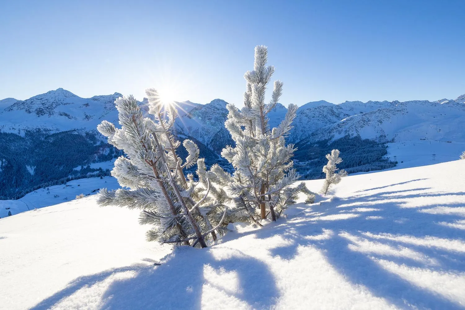 BelArosa Suiten & Wellness