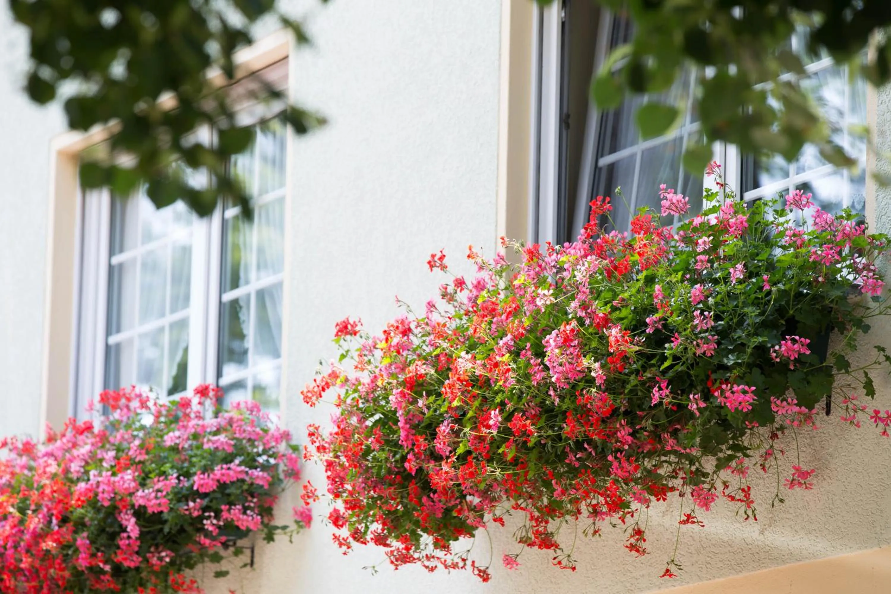 Property building in Hotel & Gasthaus Zum Eichenkranz