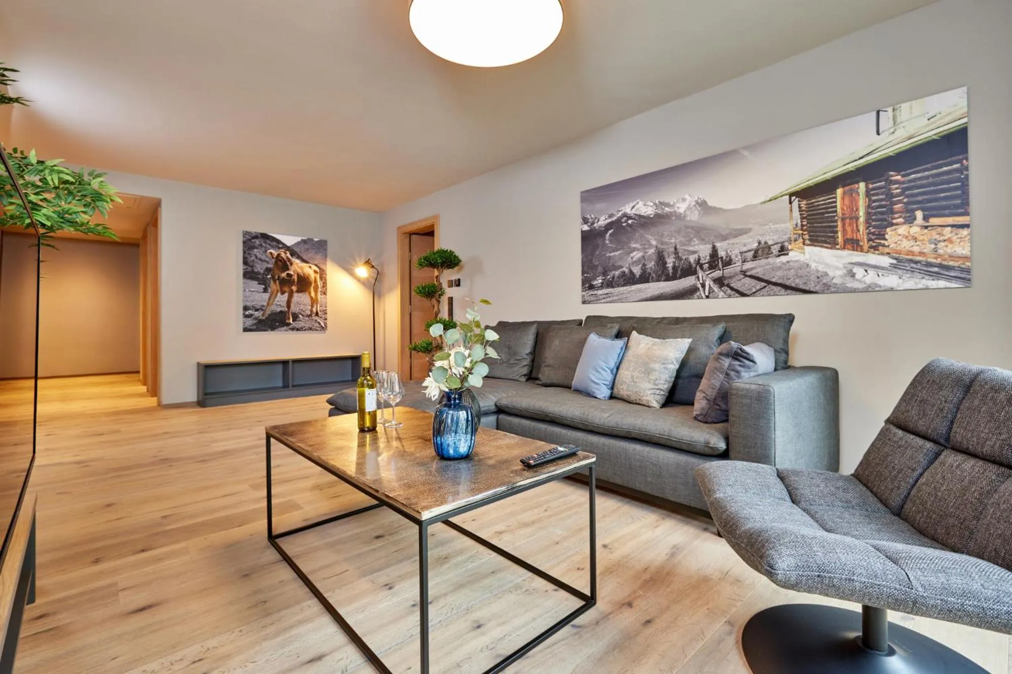 TV and multimedia in moun10 urlaubswohnen