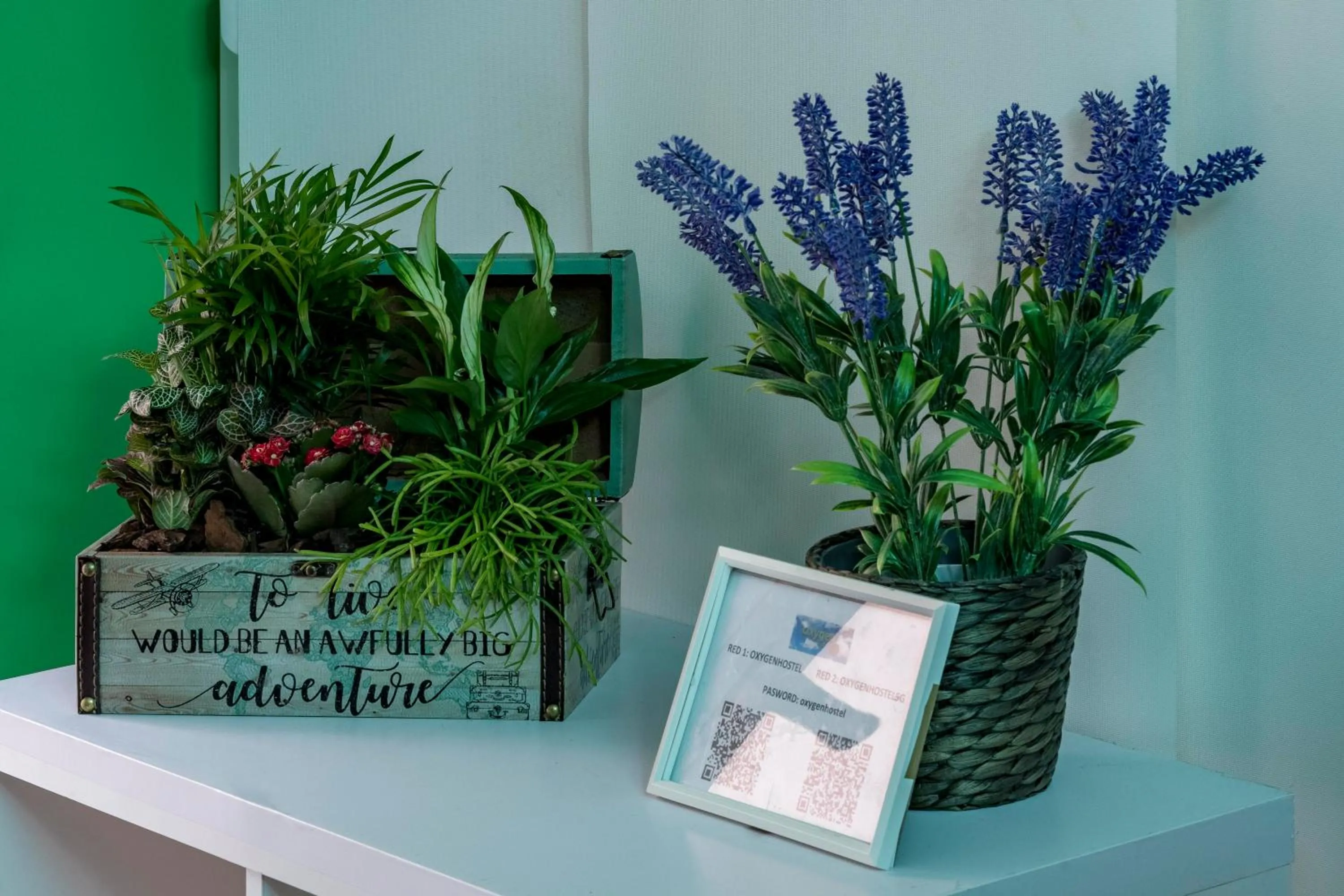 Lobby or reception in OXYGEN HOSTEL Capsula