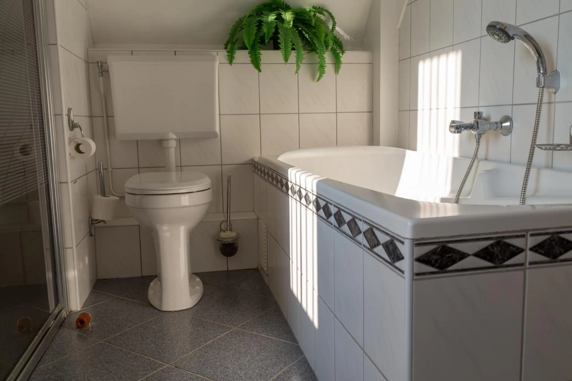 Toilet in B&B overnachting de Margriet