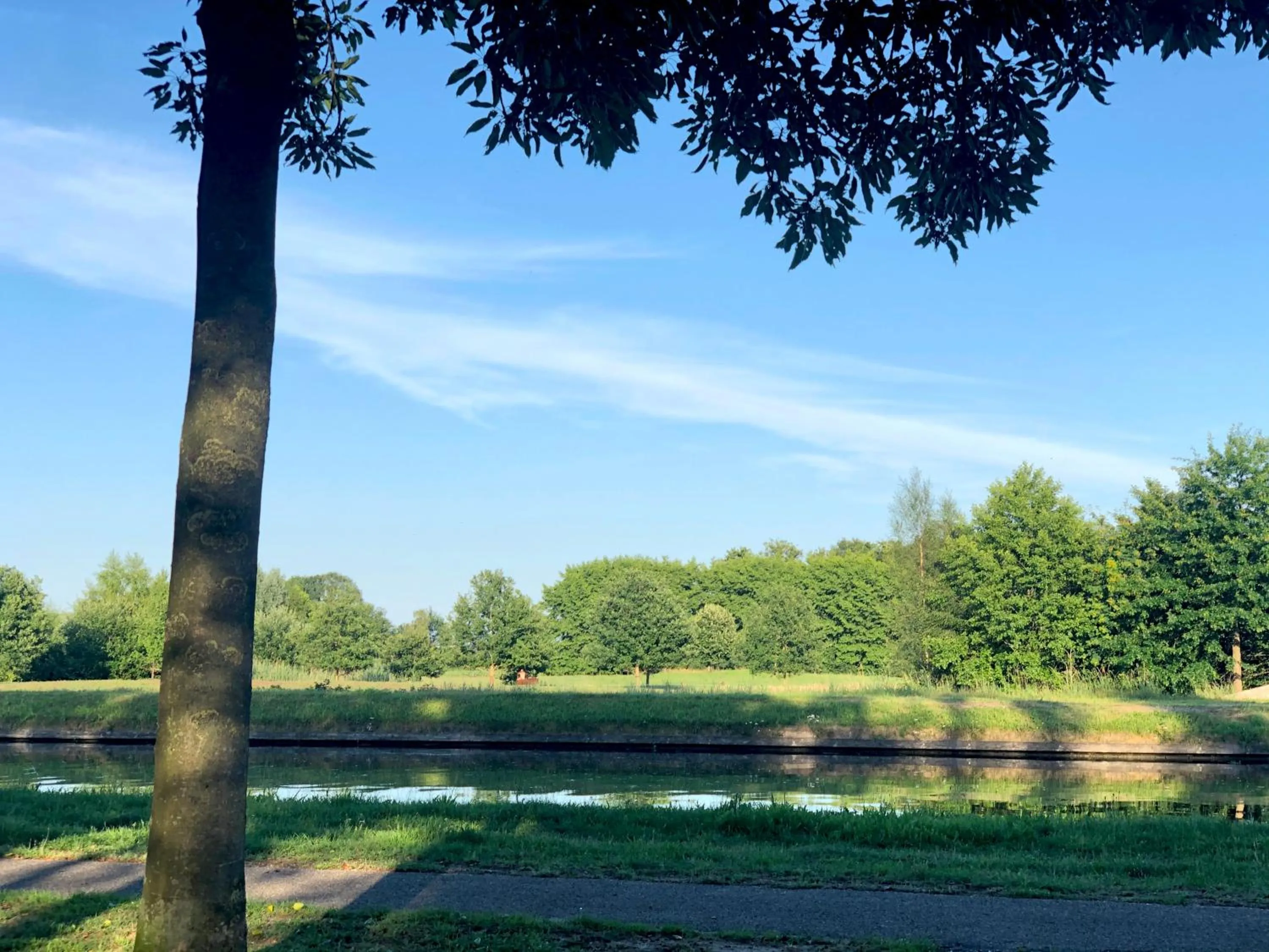 Natural landscape in B&B overnachting de Margriet