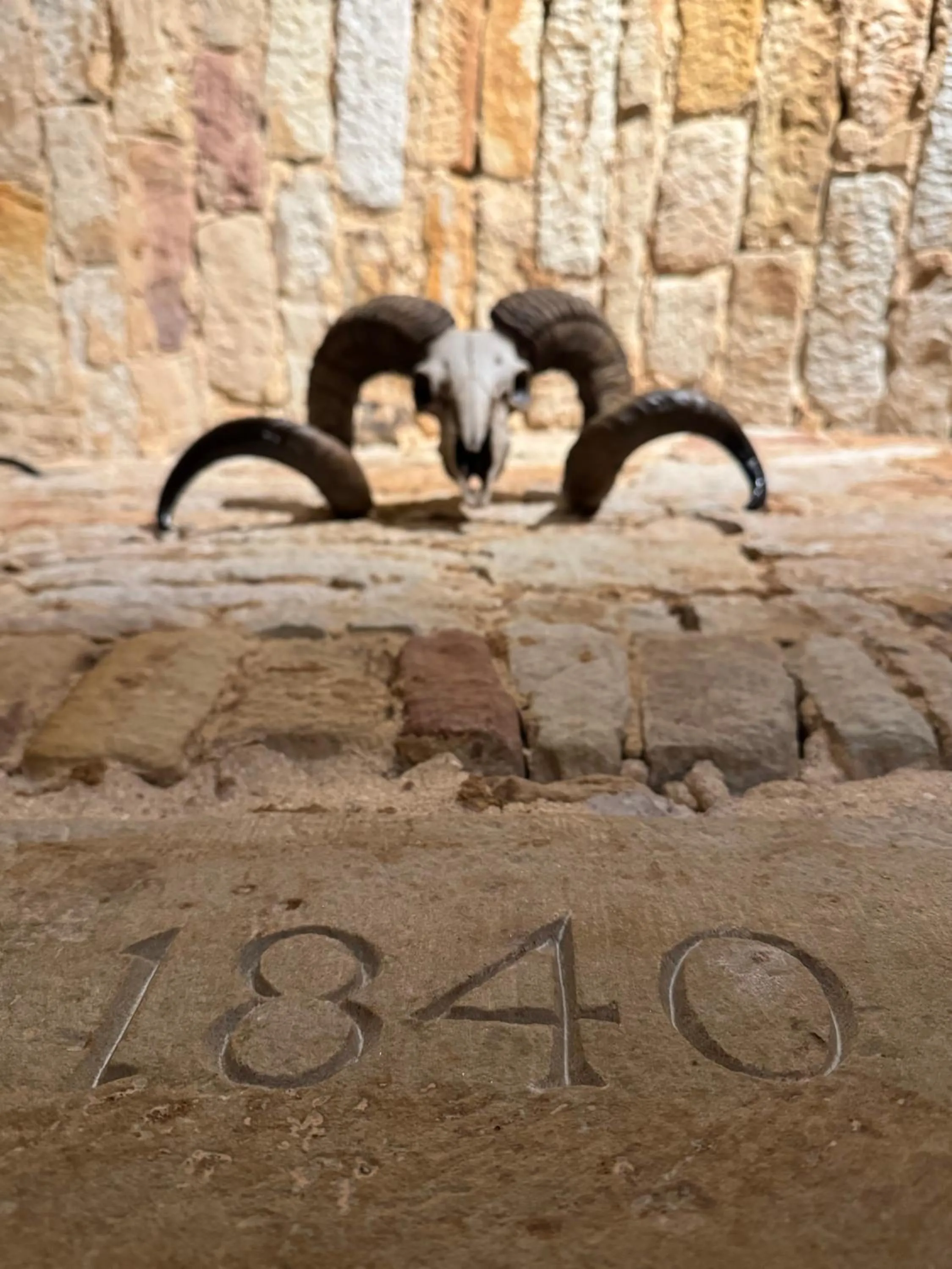 Restaurant/places to eat in Hotel Bachmühle