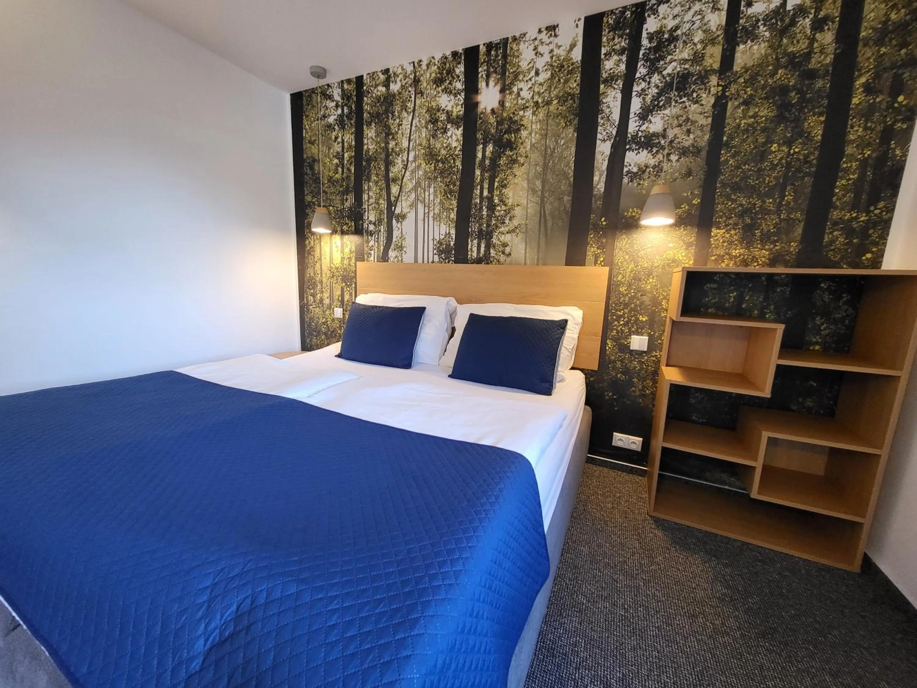 Bed in Pension Jitřenka Hřensko - Breakfast Included & Free Parking