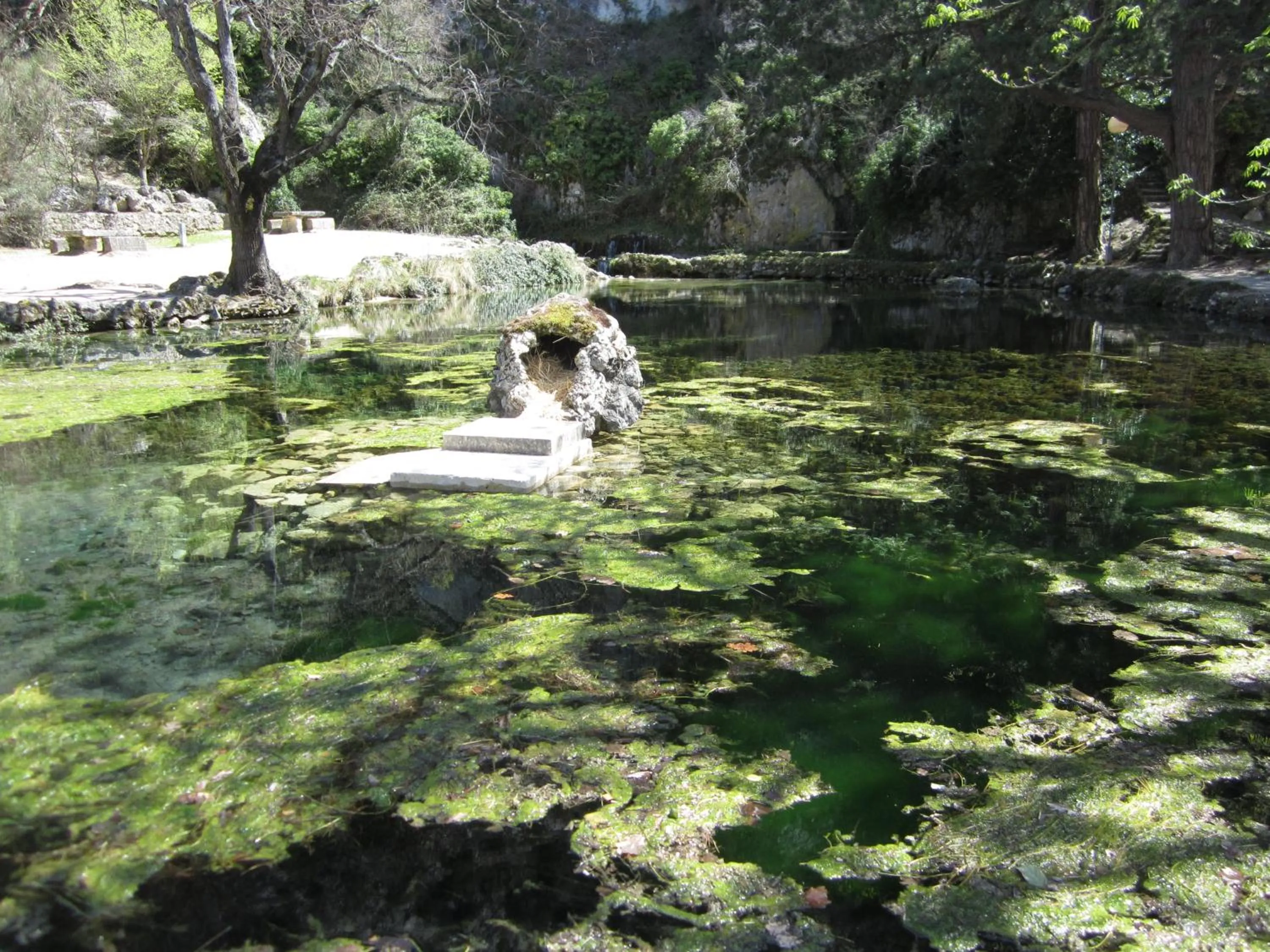 Natural landscape in Hôtel & SPA Ventoux Provence "Domaine des Tilleuls"
