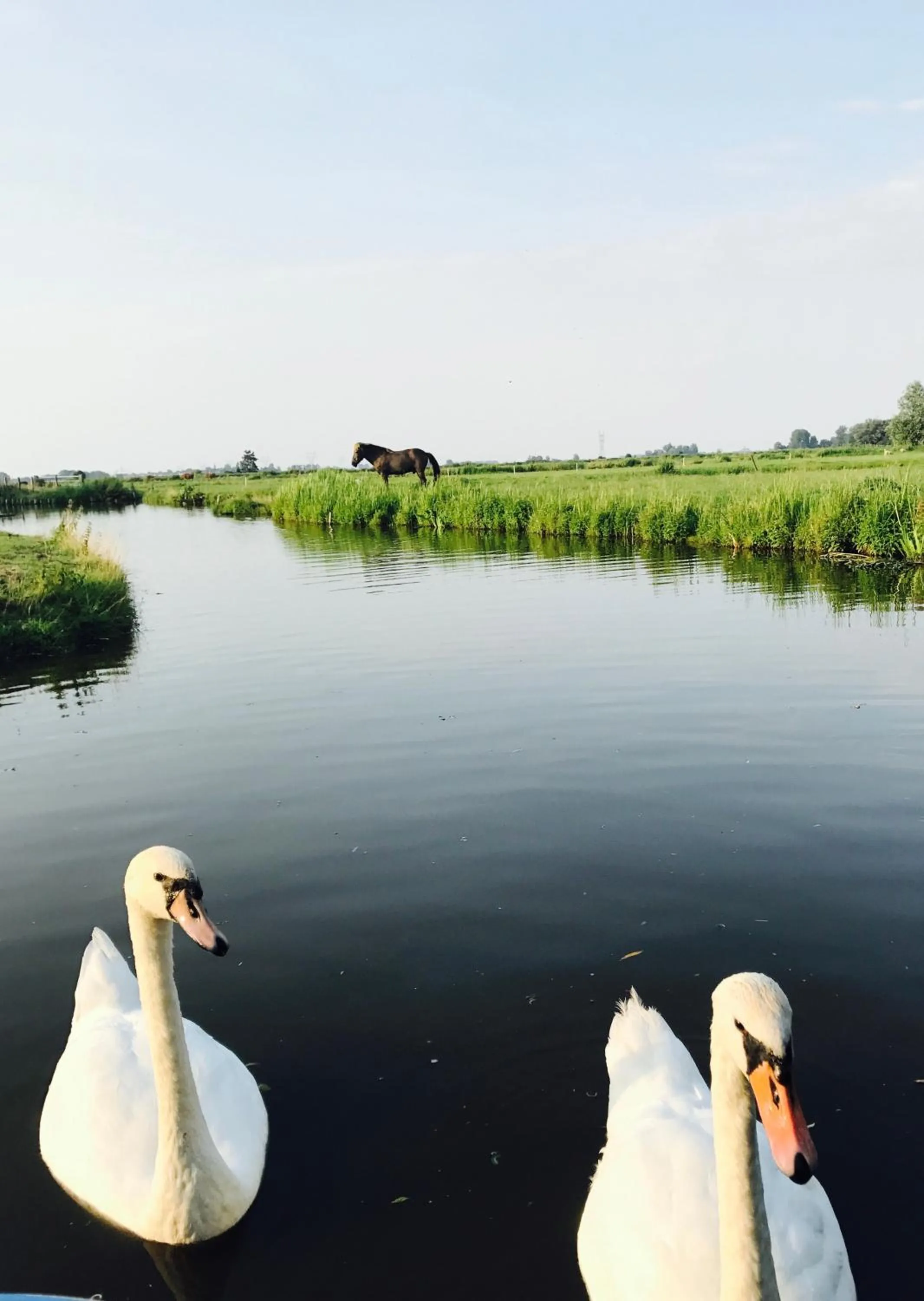 Oude Postkantoor de Rijp