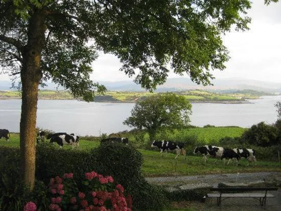 Day in Dromcloc House