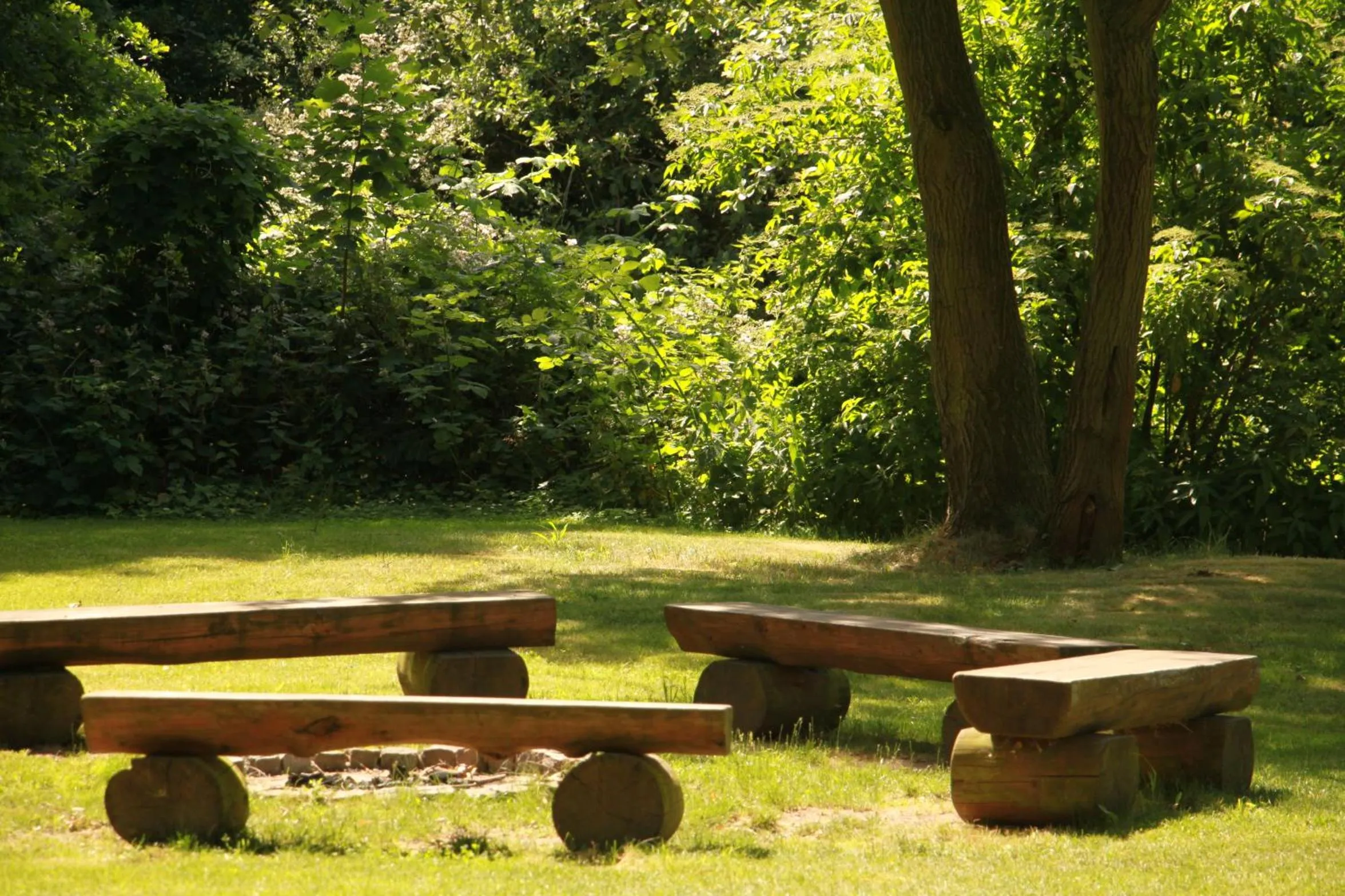 Garden view in Gästehaus Alte Schule