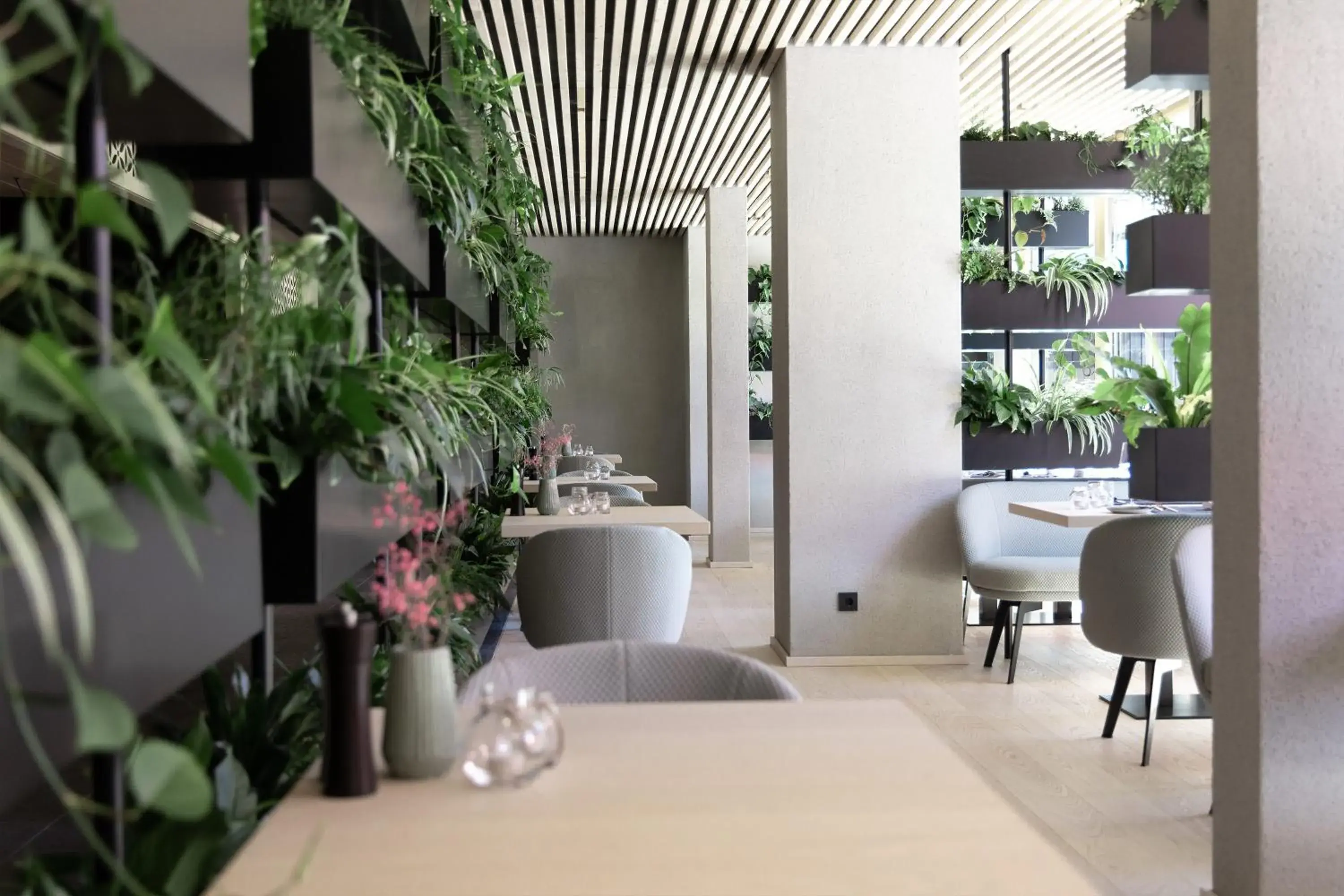 Restaurant/places to eat in Amrai Suites Restaurant/places to eat in Amrai Suites