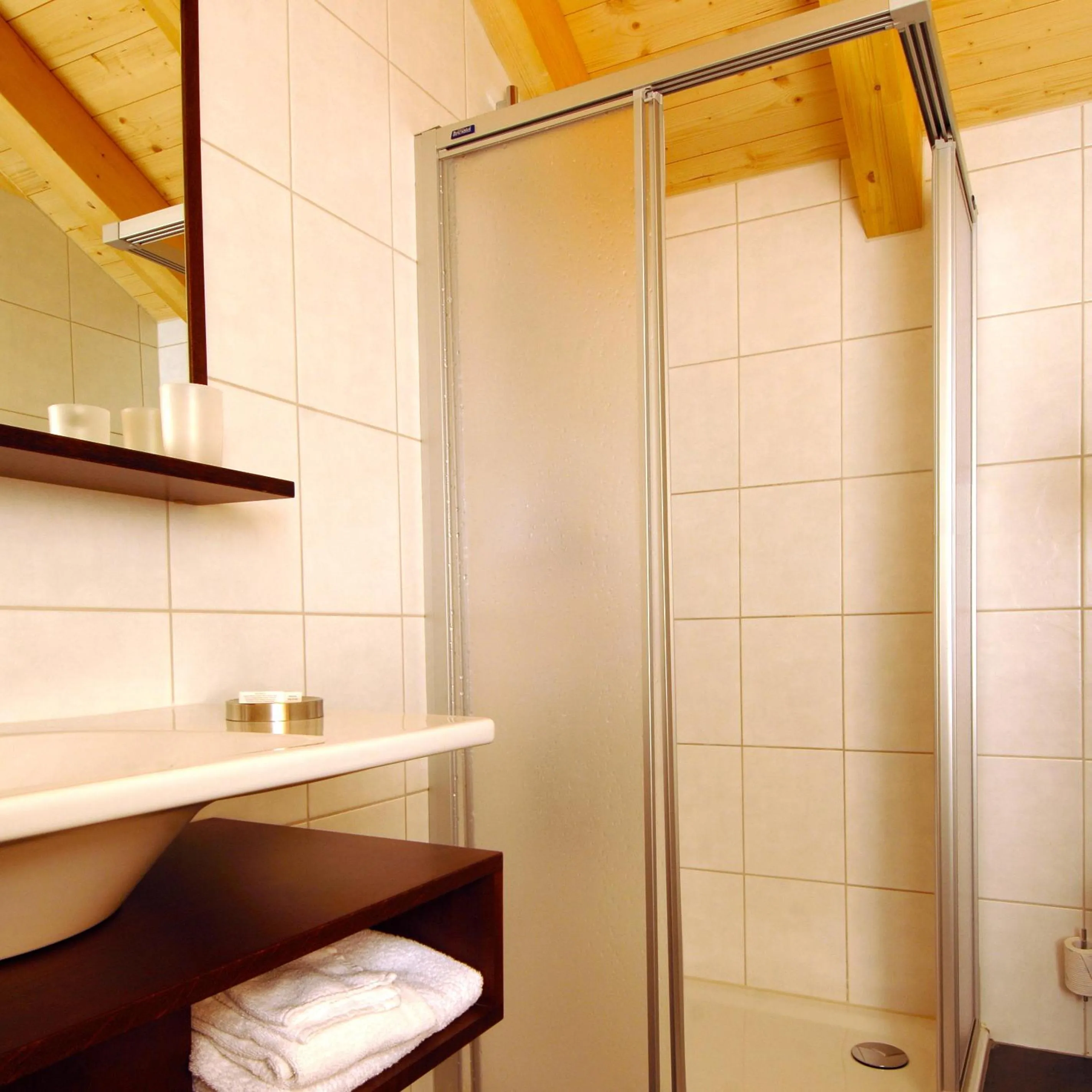 Shower in Hotel Viktoria-Leukerbad-Therme