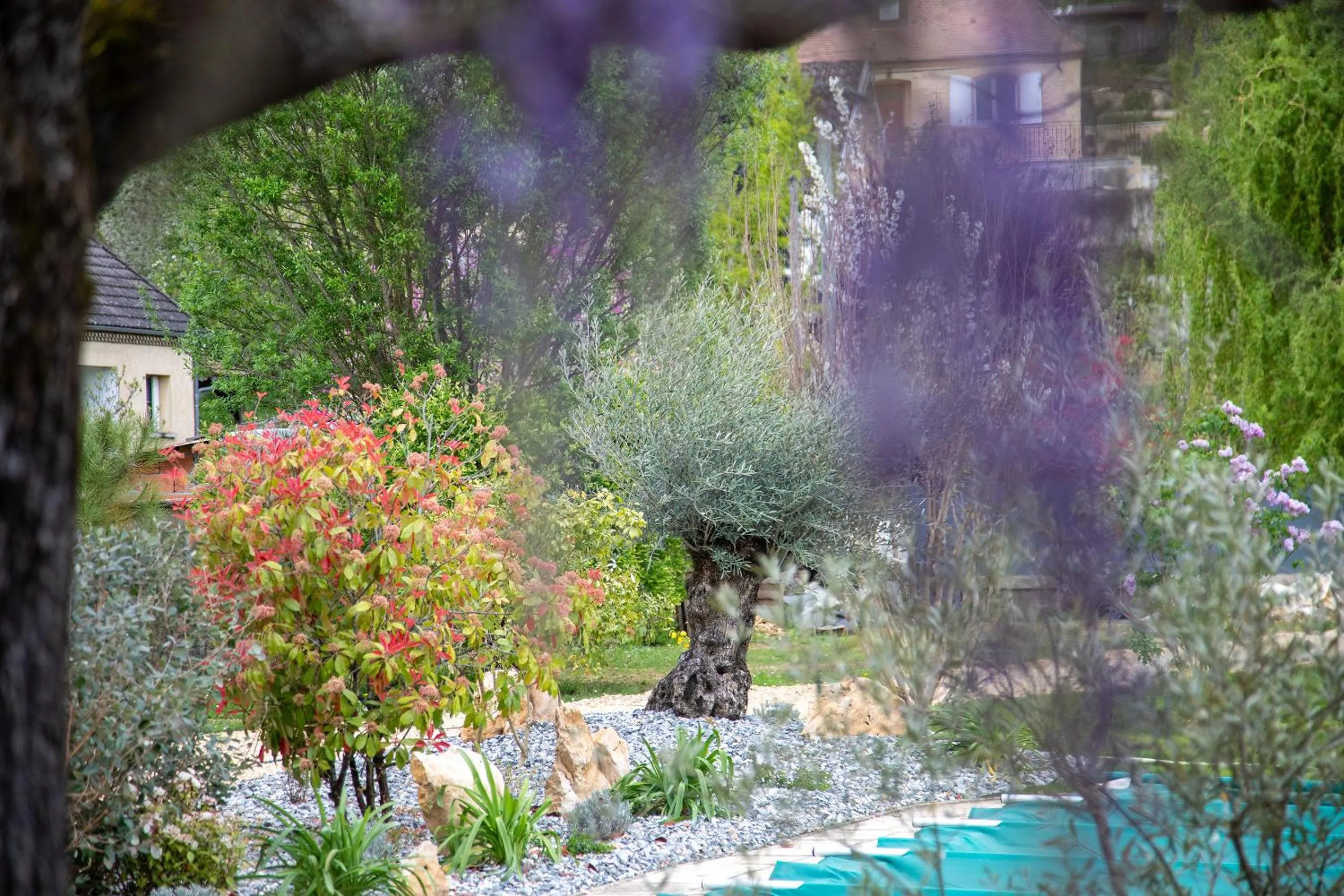 O'Myosotis - 400m Centre Historique - Parking Gratuit - Piscine et Jardin