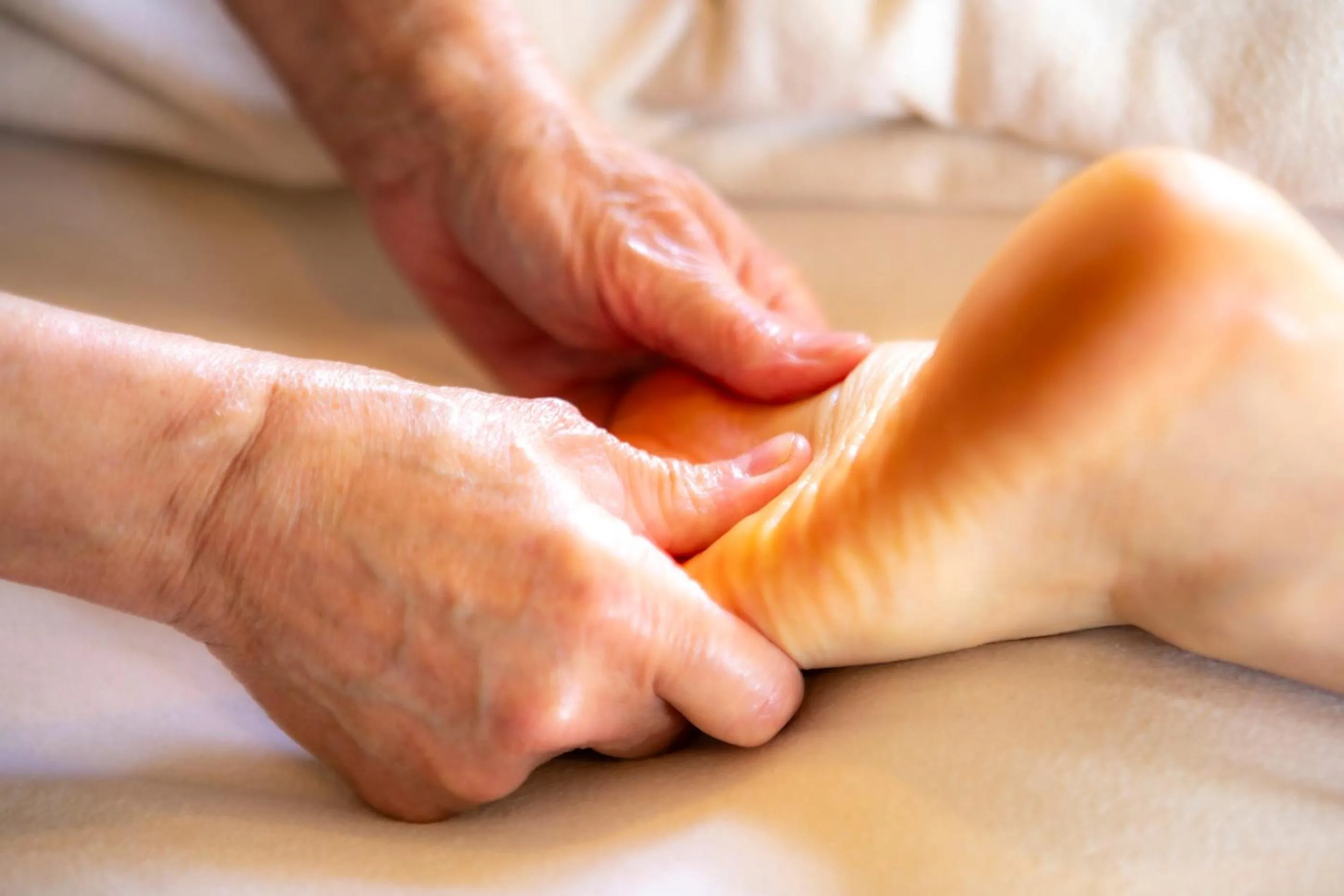 O'Myosotis - 400m Centre Historique - Parking Gratuit - Piscine et Jardin