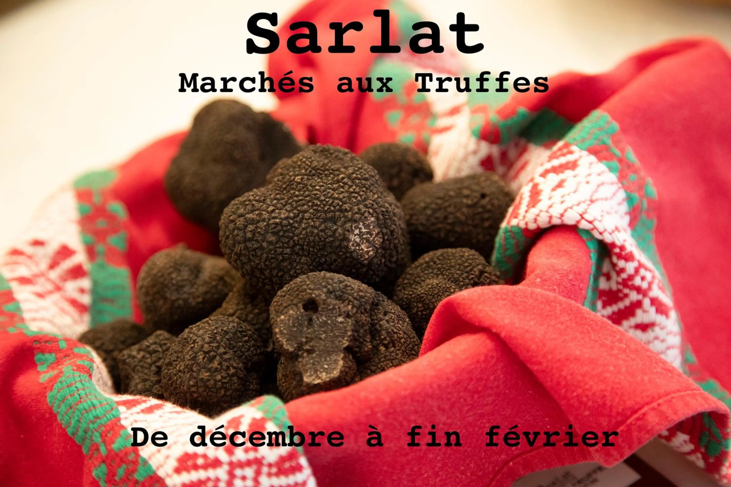 O'Myosotis - 400m Centre Historique - Parking Gratuit - Piscine et Jardin