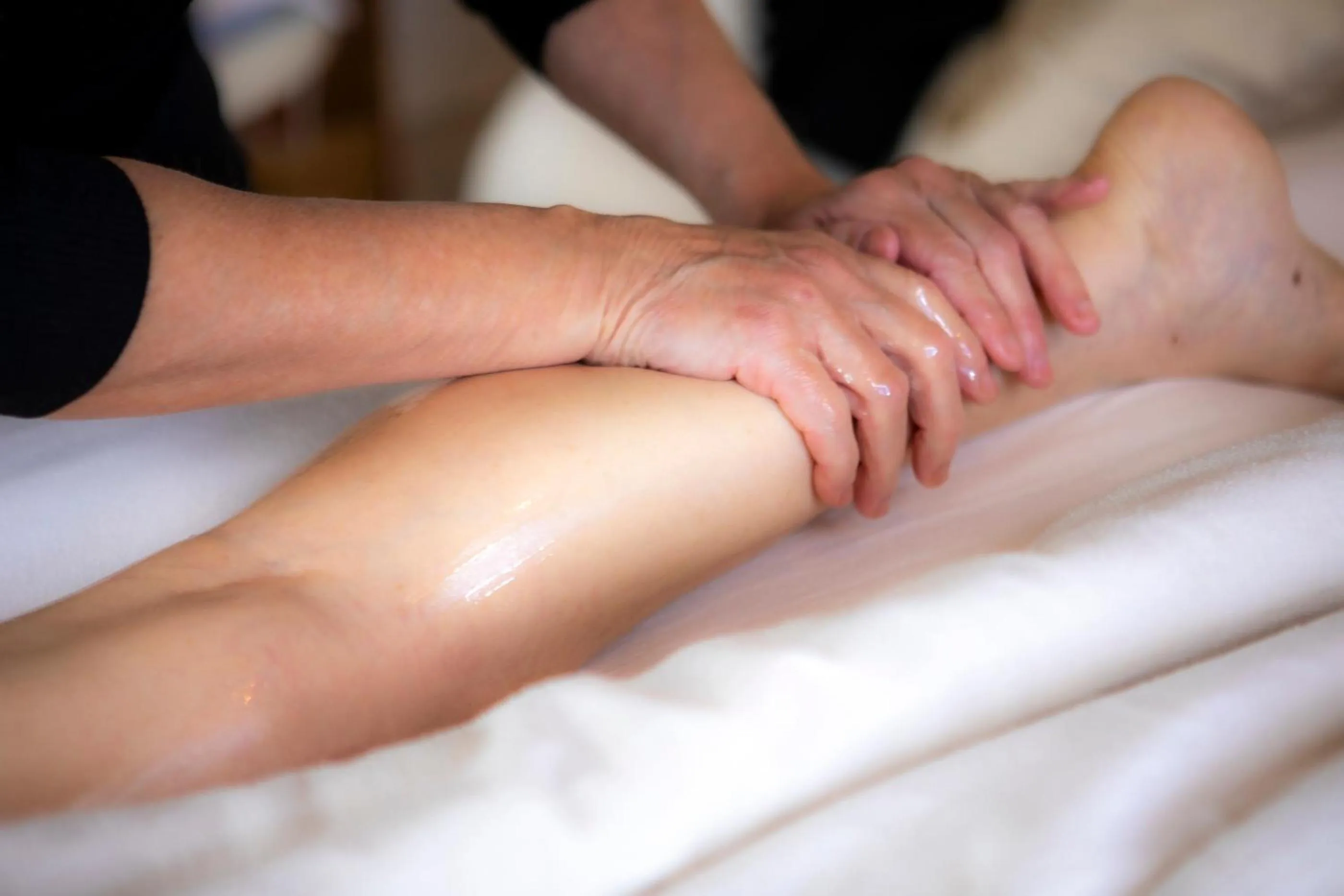 O'Myosotis - 400m Centre Historique - Parking Gratuit - Piscine et Jardin