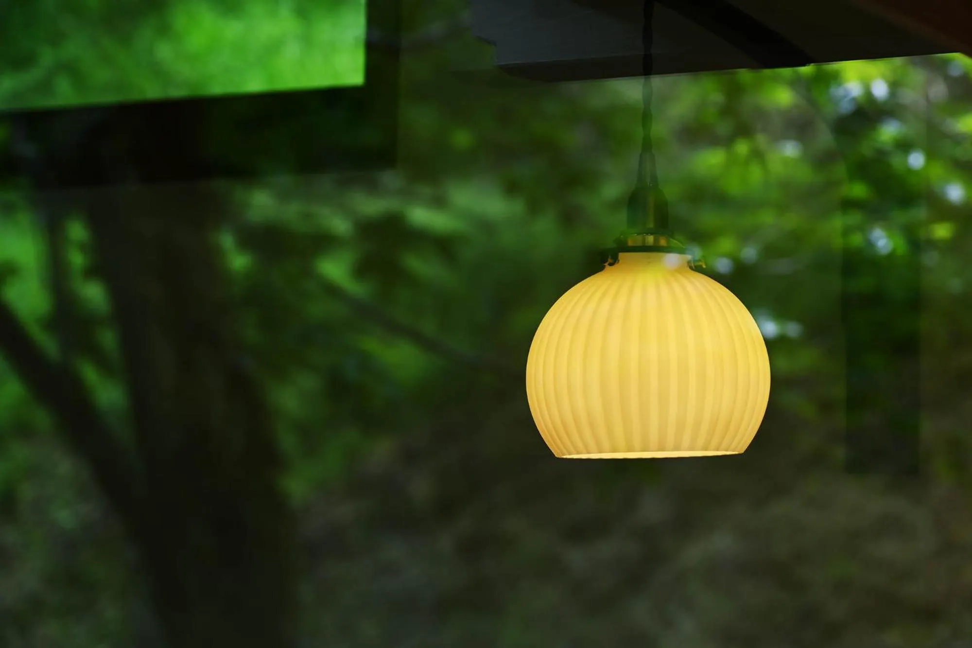 Night in Casa Miyama