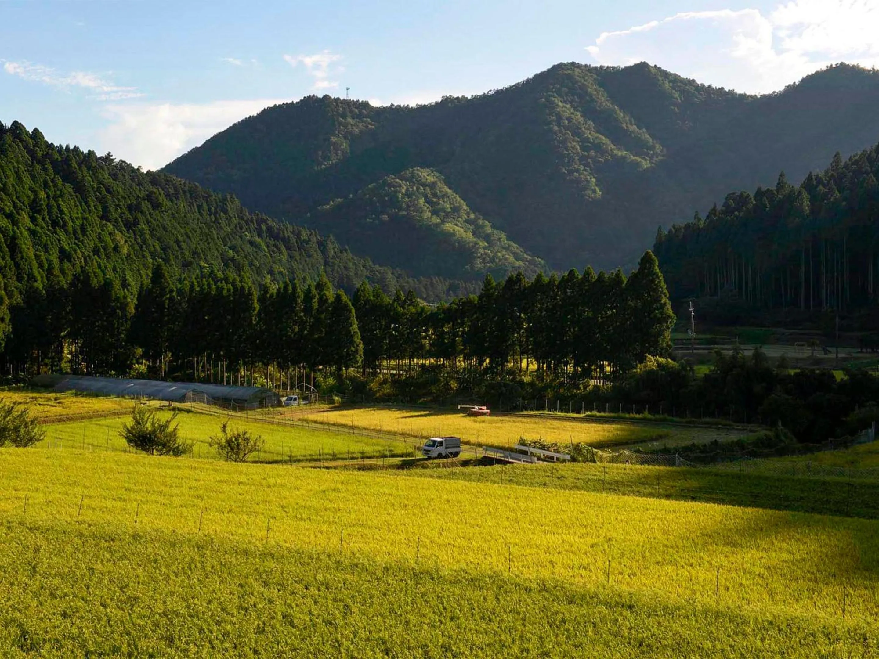 Natural landscape in Casa Miyama