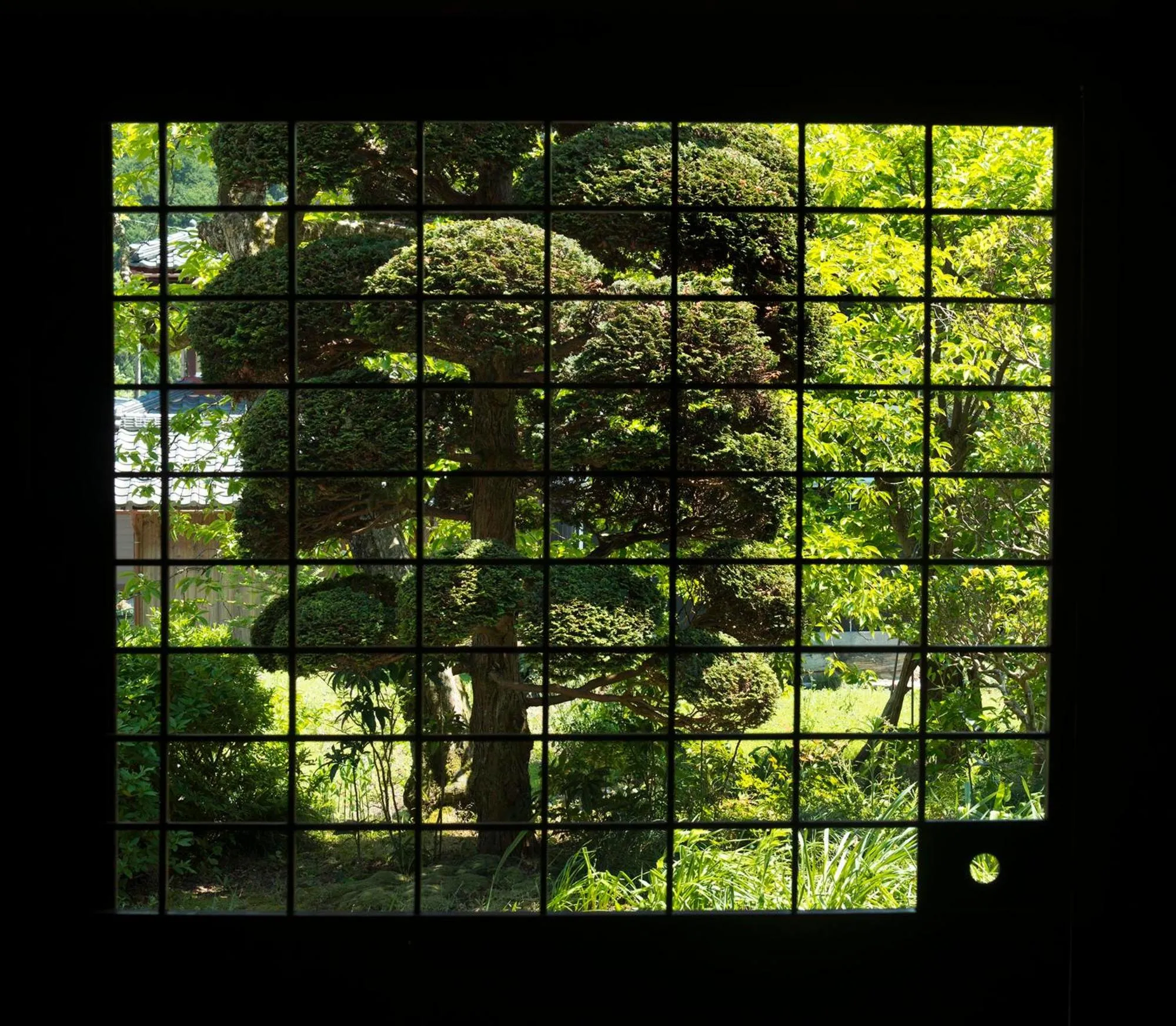 Garden view in Casa Miyama