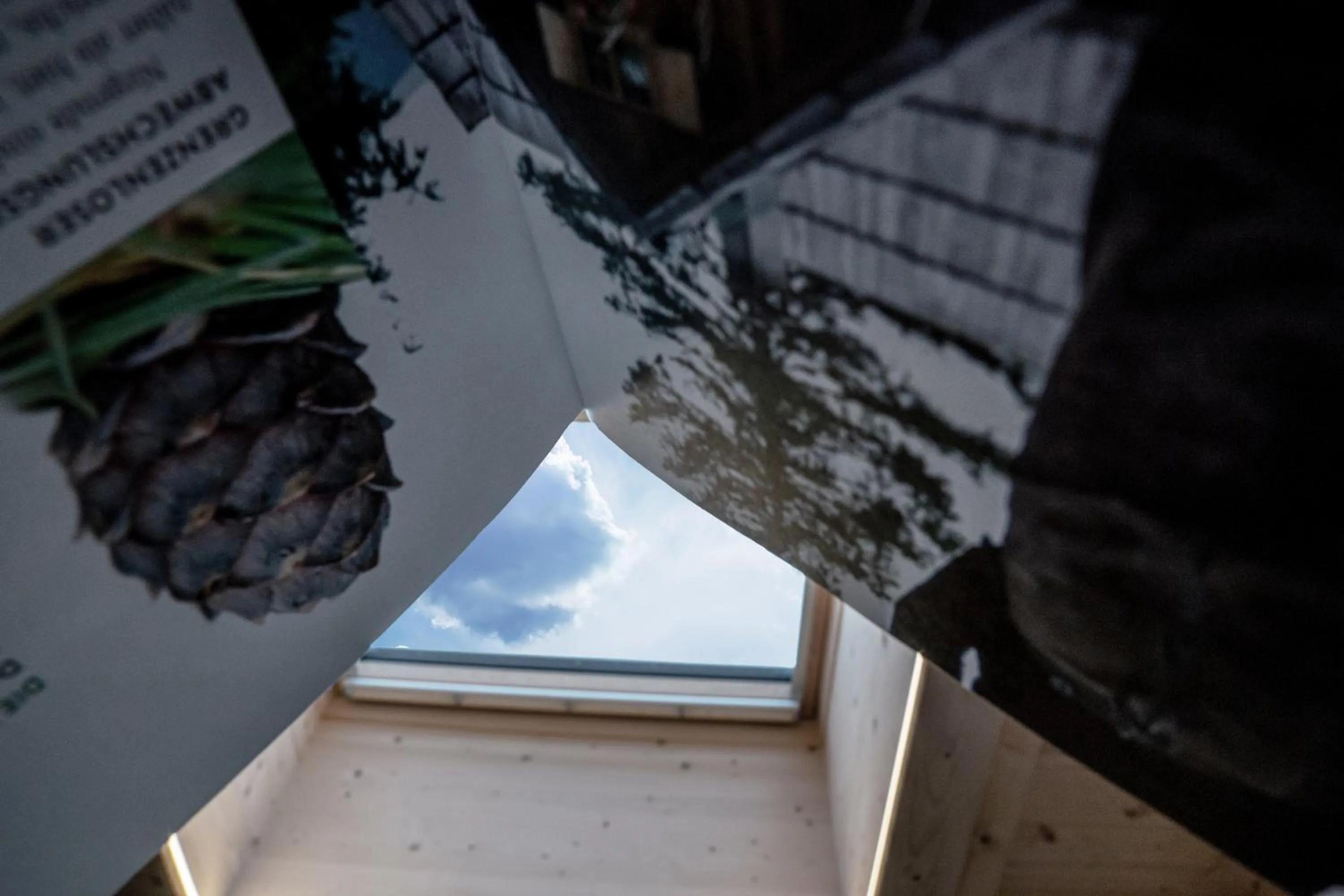 Day in Bauernhaus Martinus