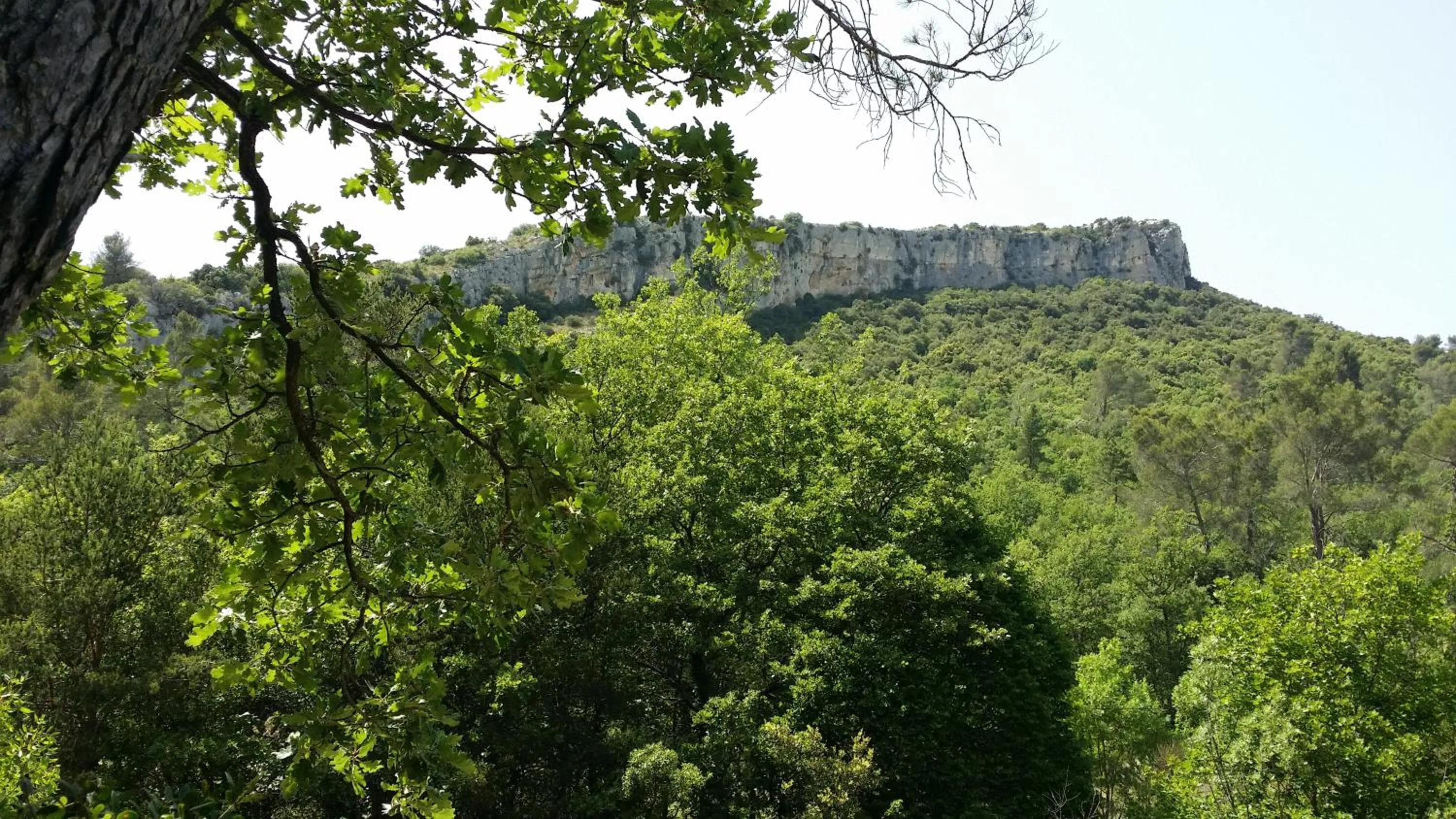 Spring in ibis budget Saint-Maximin