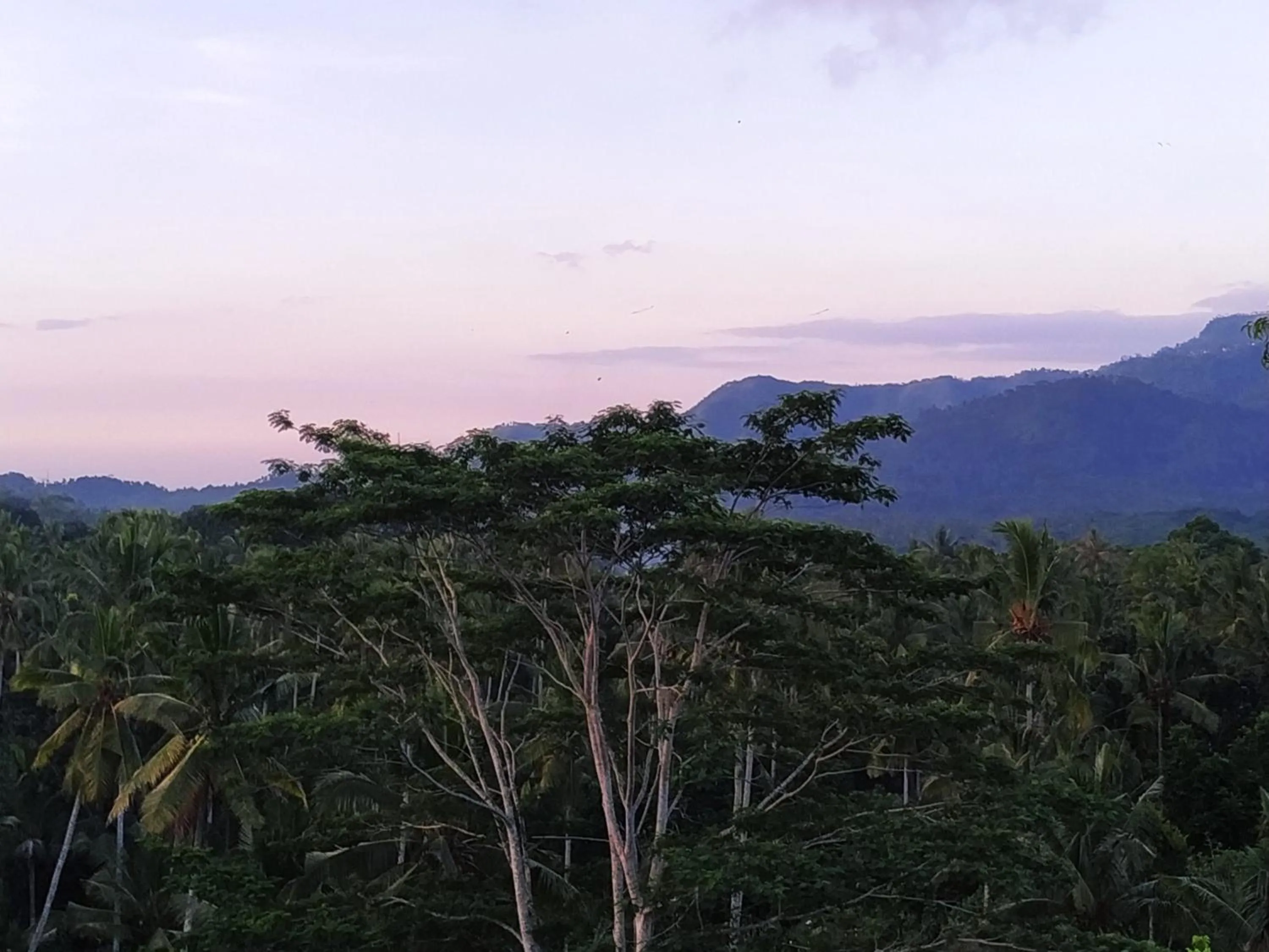 Mountain view in Palmterrace