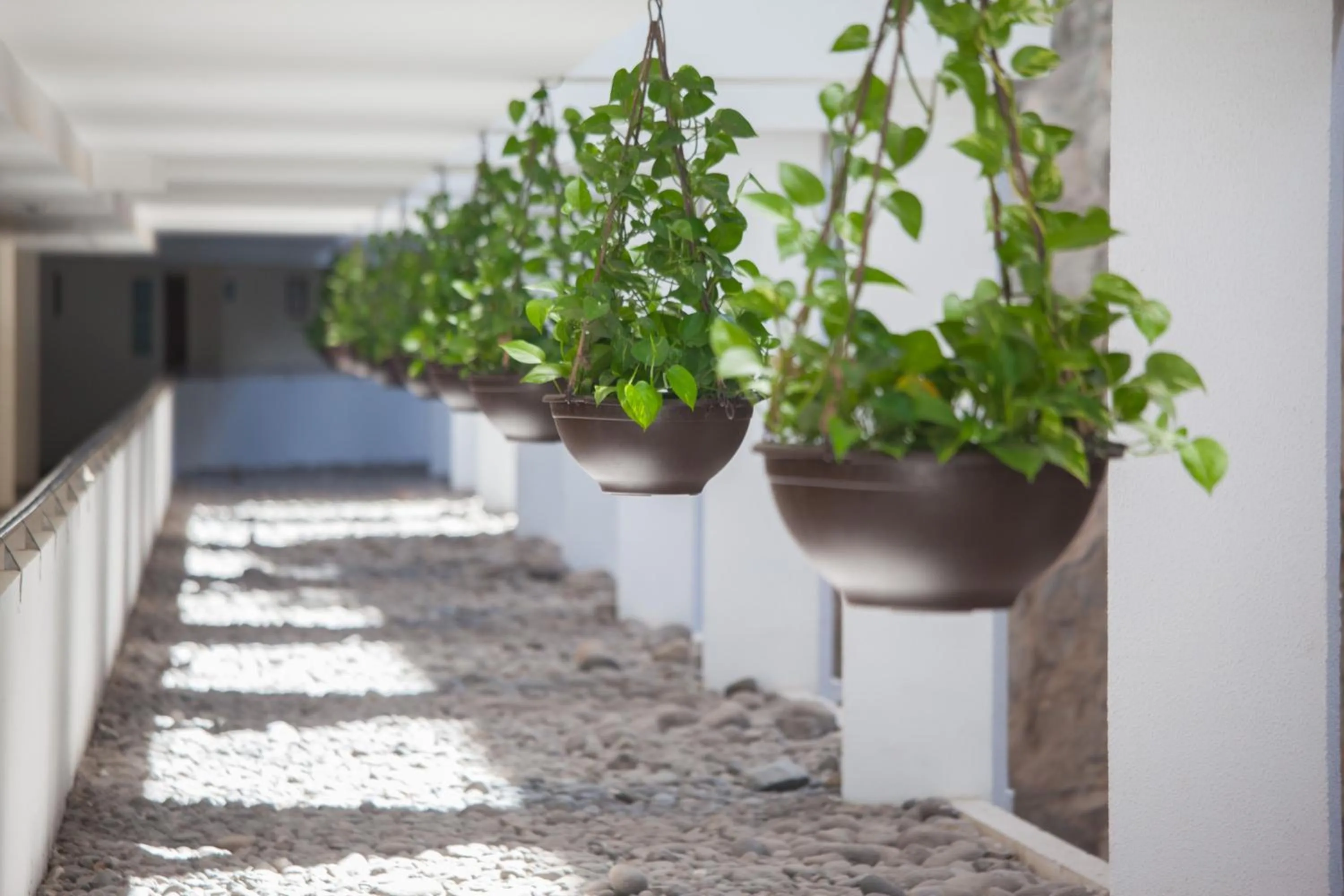 Garden in Grupotel Revoli