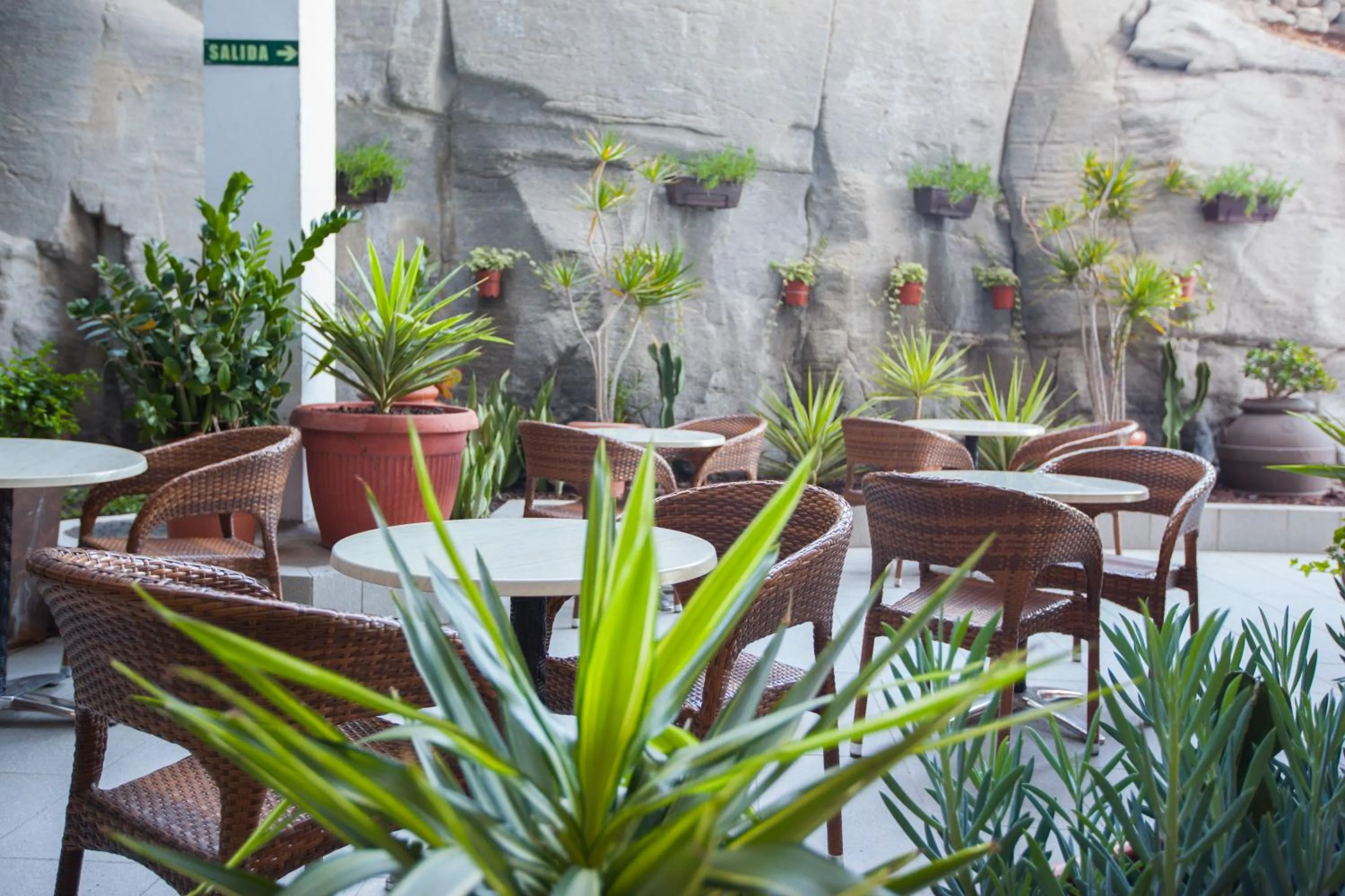 Garden in Grupotel Revoli