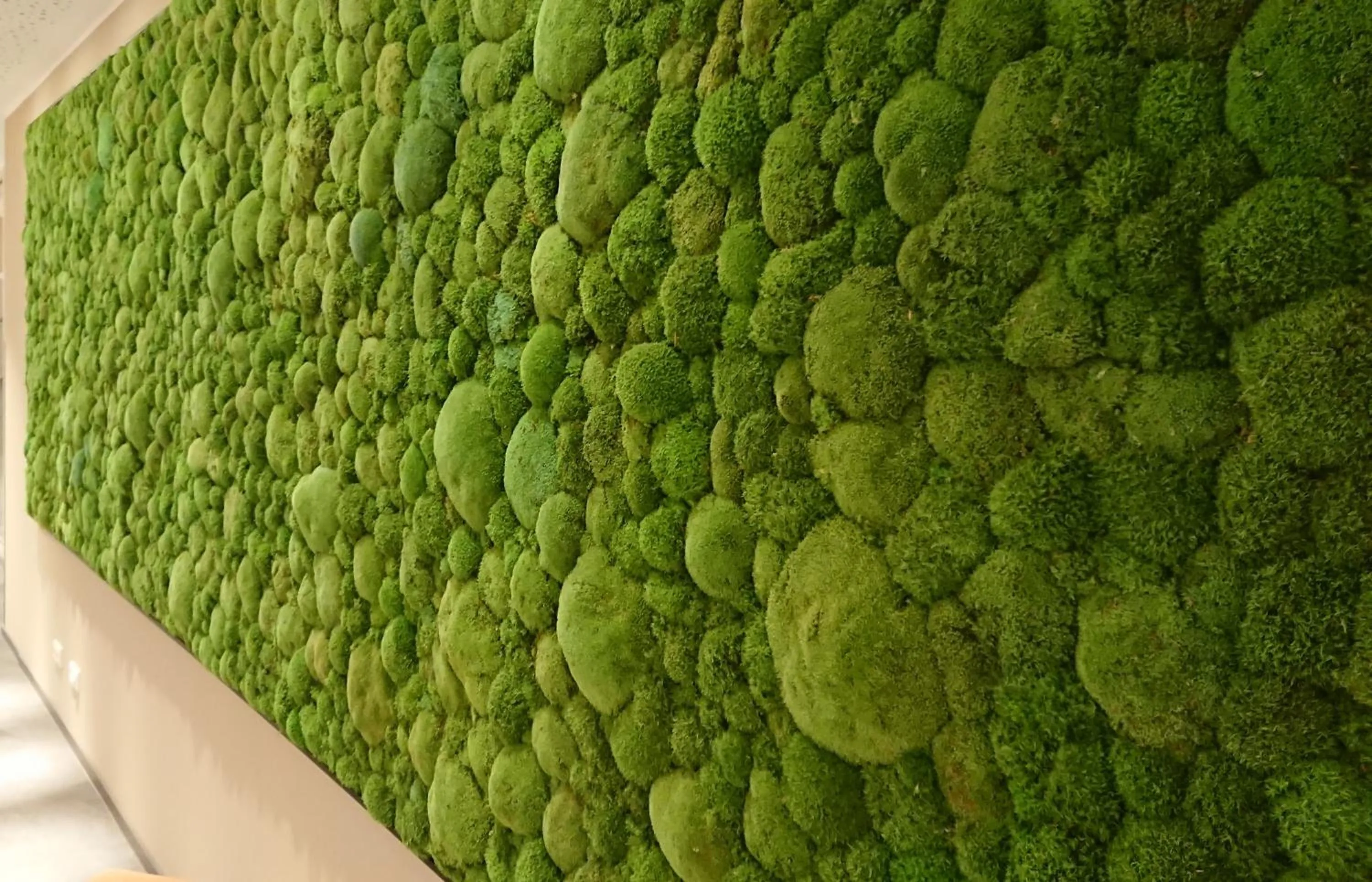 Adesso Hotel Göttingen