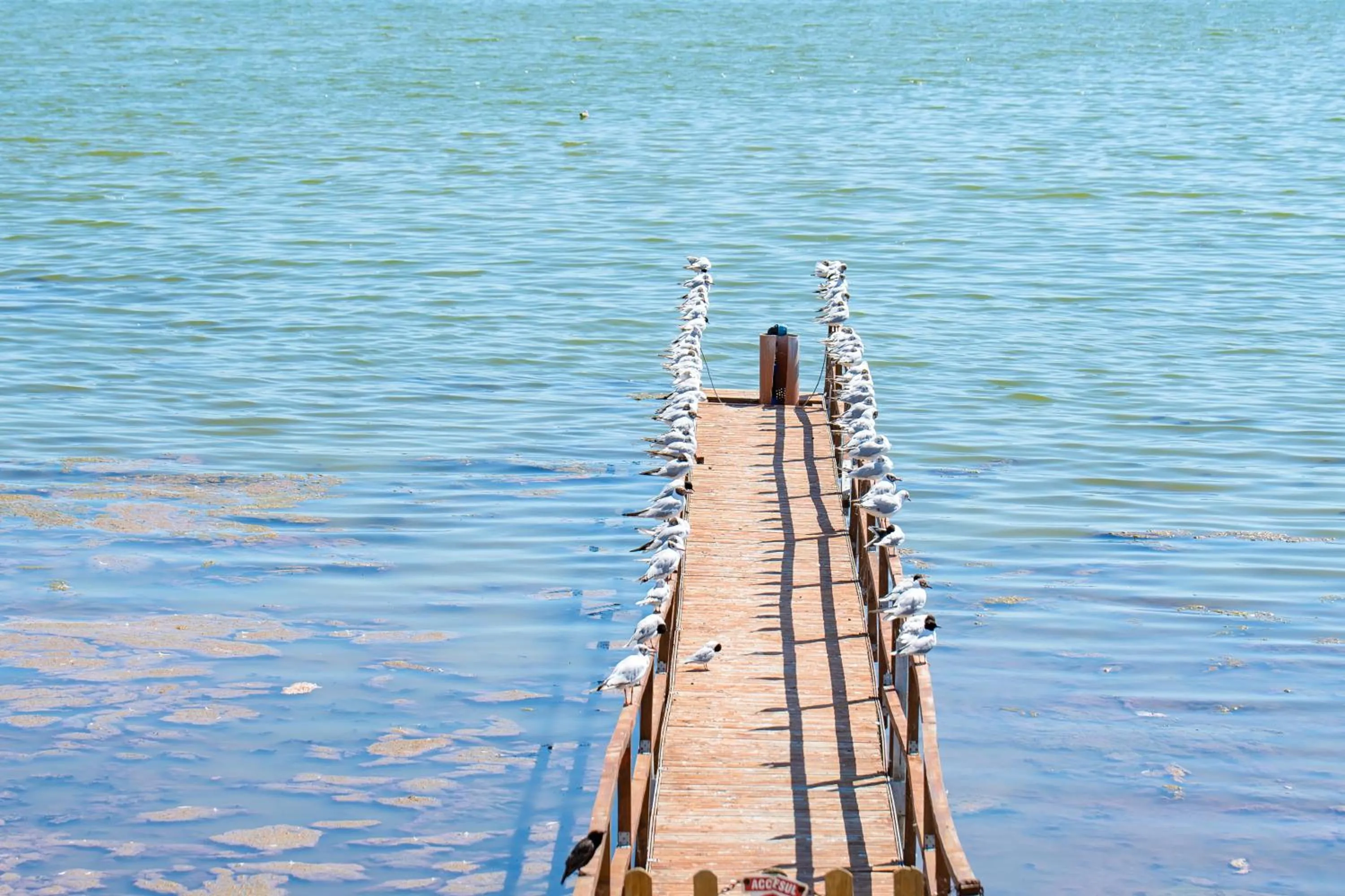 Enjoy Life Apartments