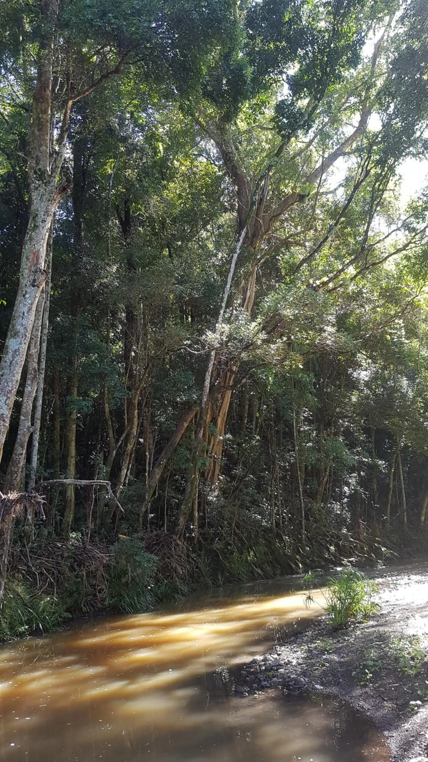 Starry Nights Luxury Camping