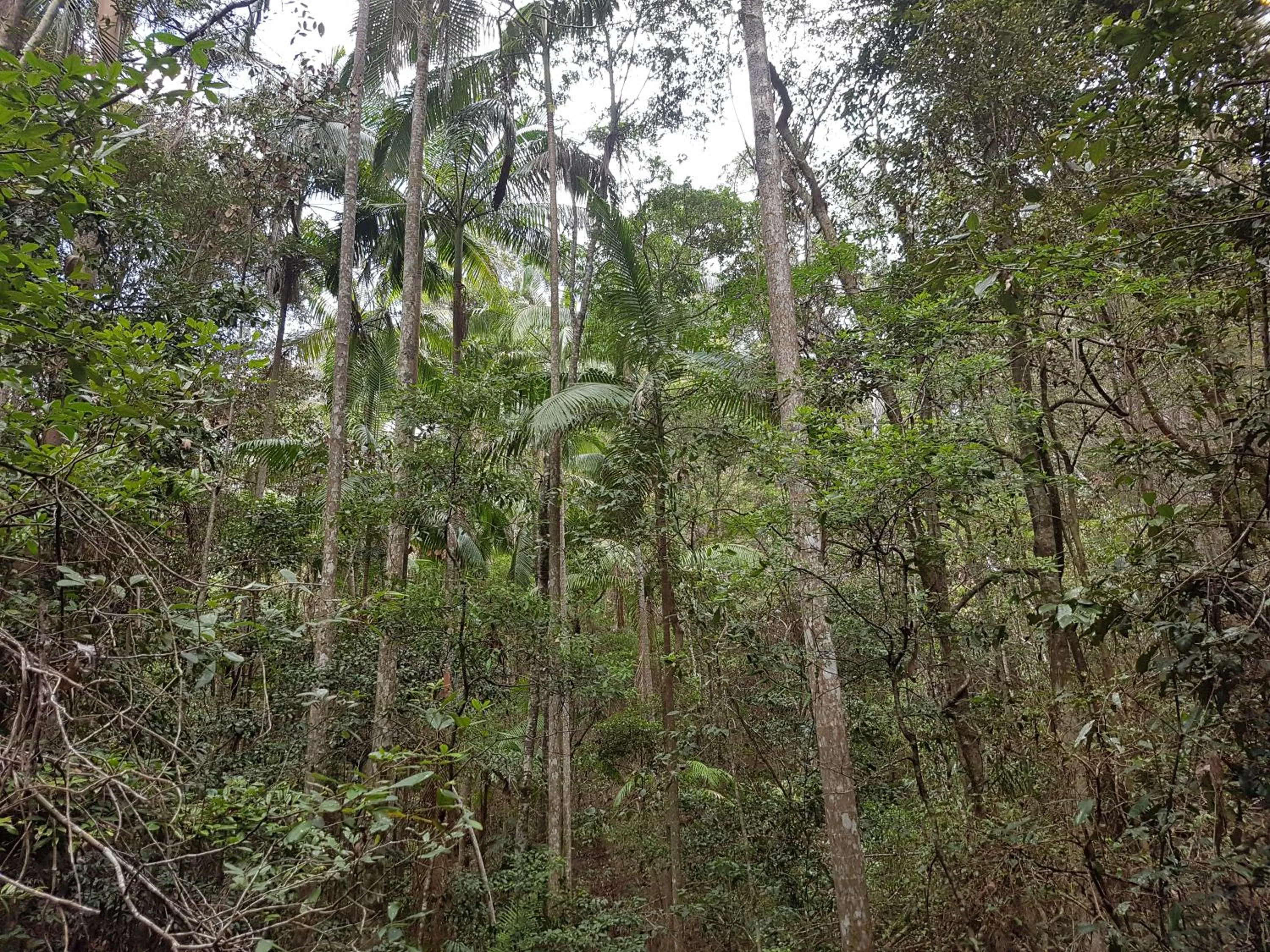 Starry Nights Luxury Camping