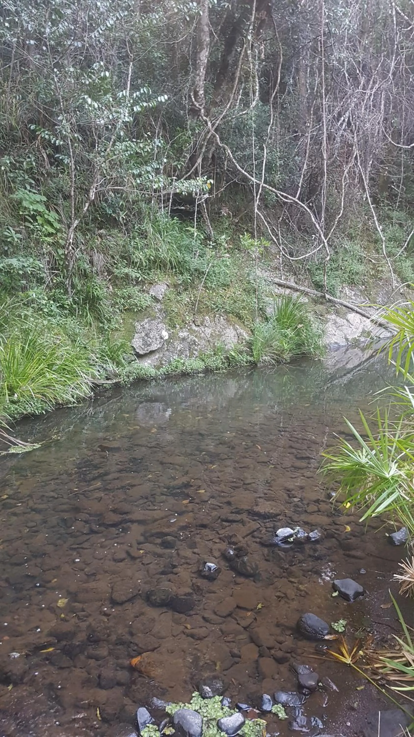 Natural landscape in Starry Nights Luxury Camping