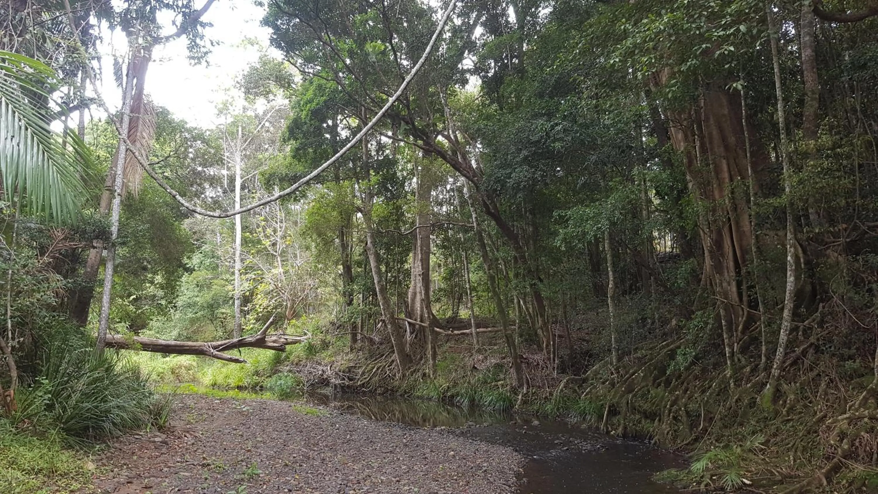 Starry Nights Luxury Camping