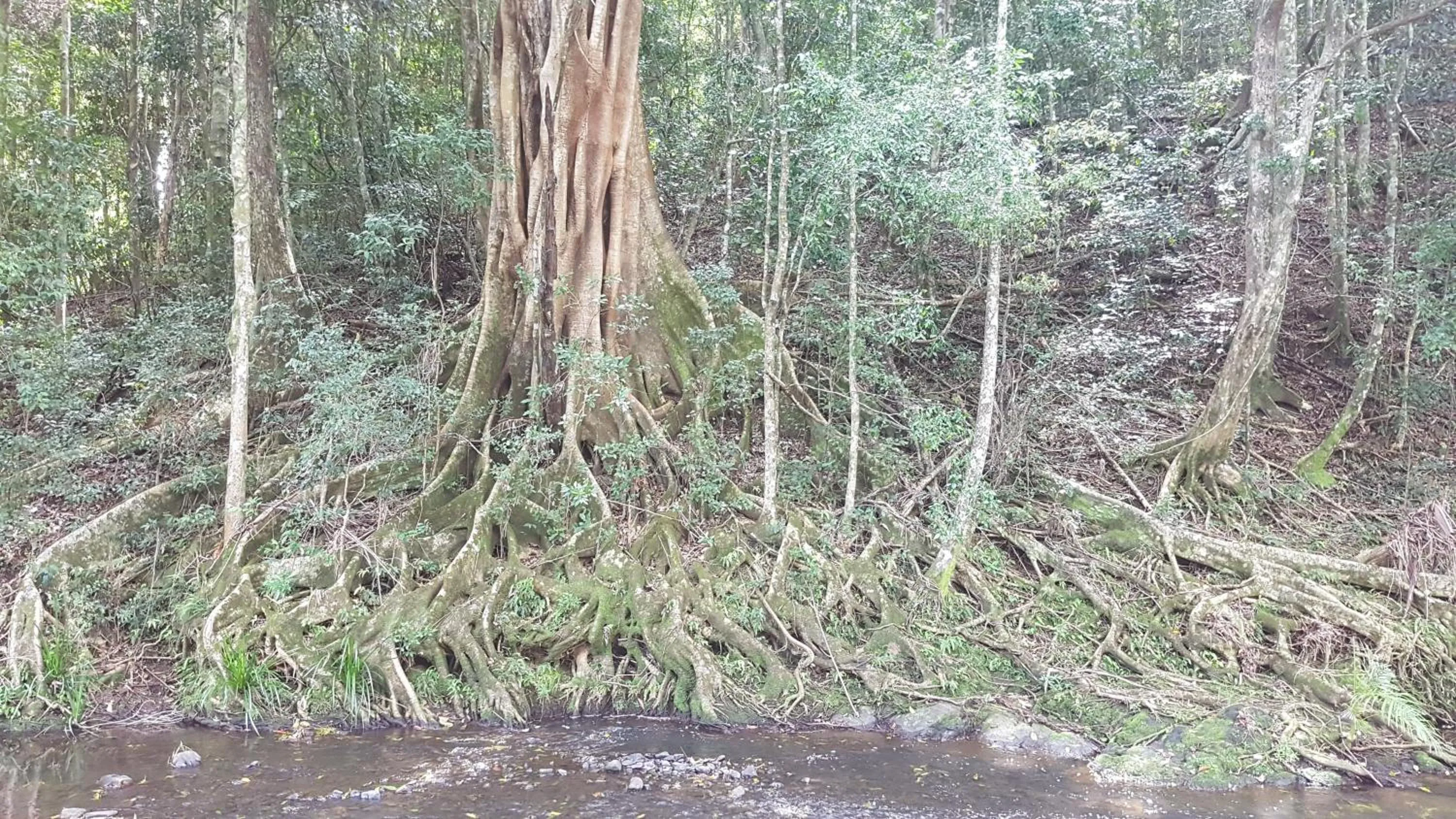 Starry Nights Luxury Camping