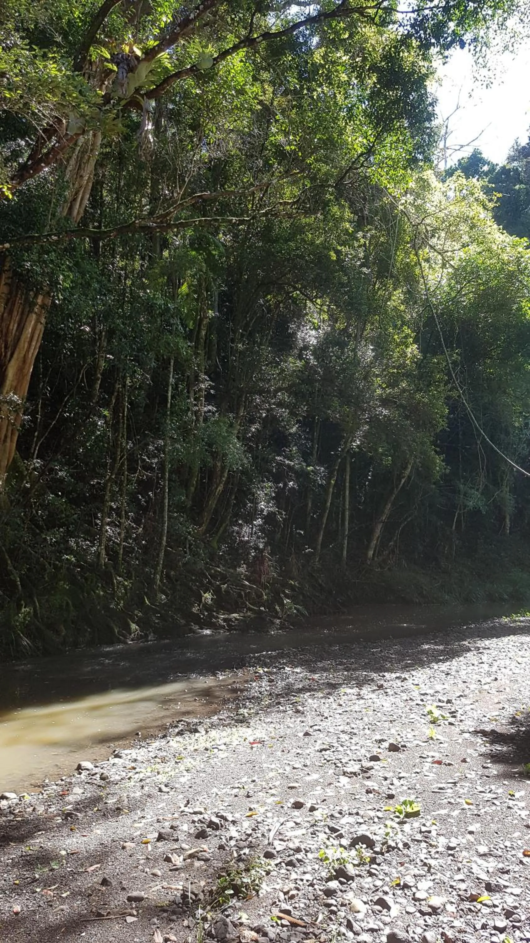 Natural landscape in Starry Nights Luxury Camping