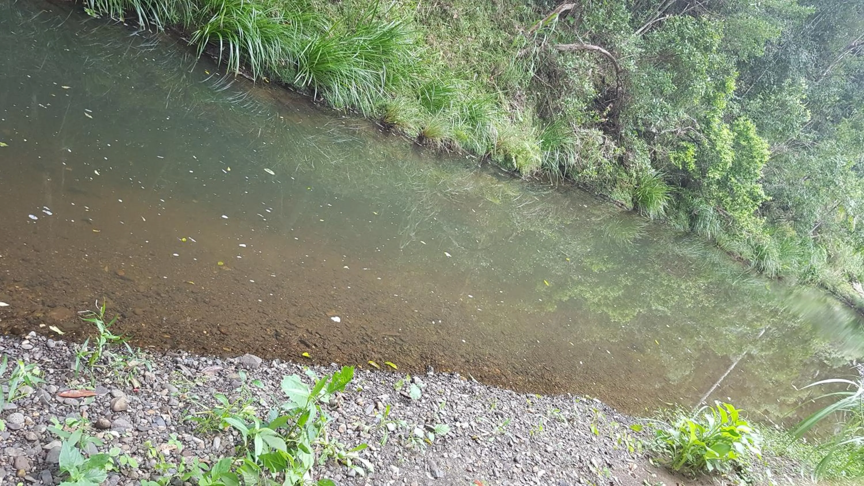 Starry Nights Luxury Camping