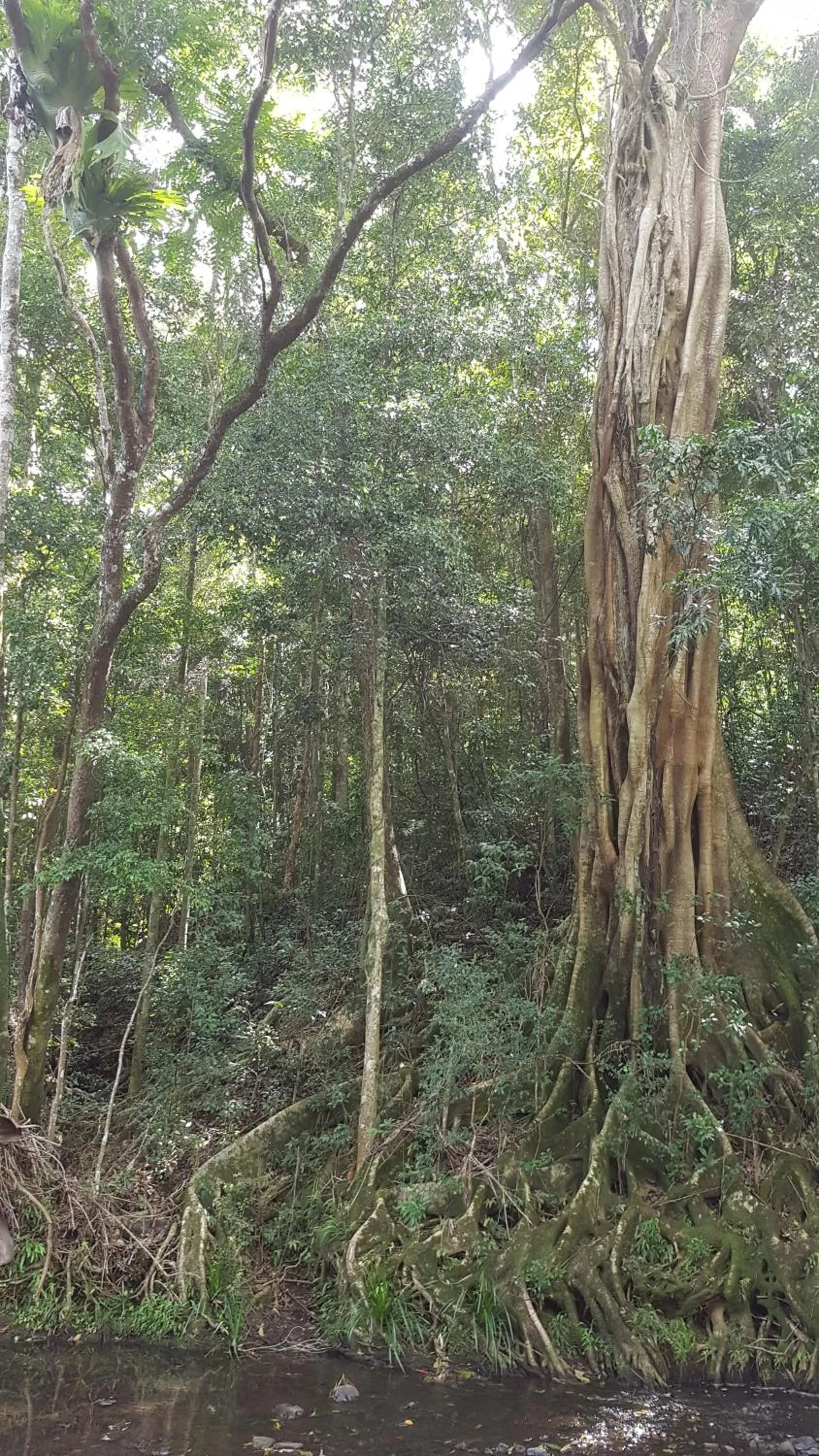 Natural landscape in Starry Nights Luxury Camping