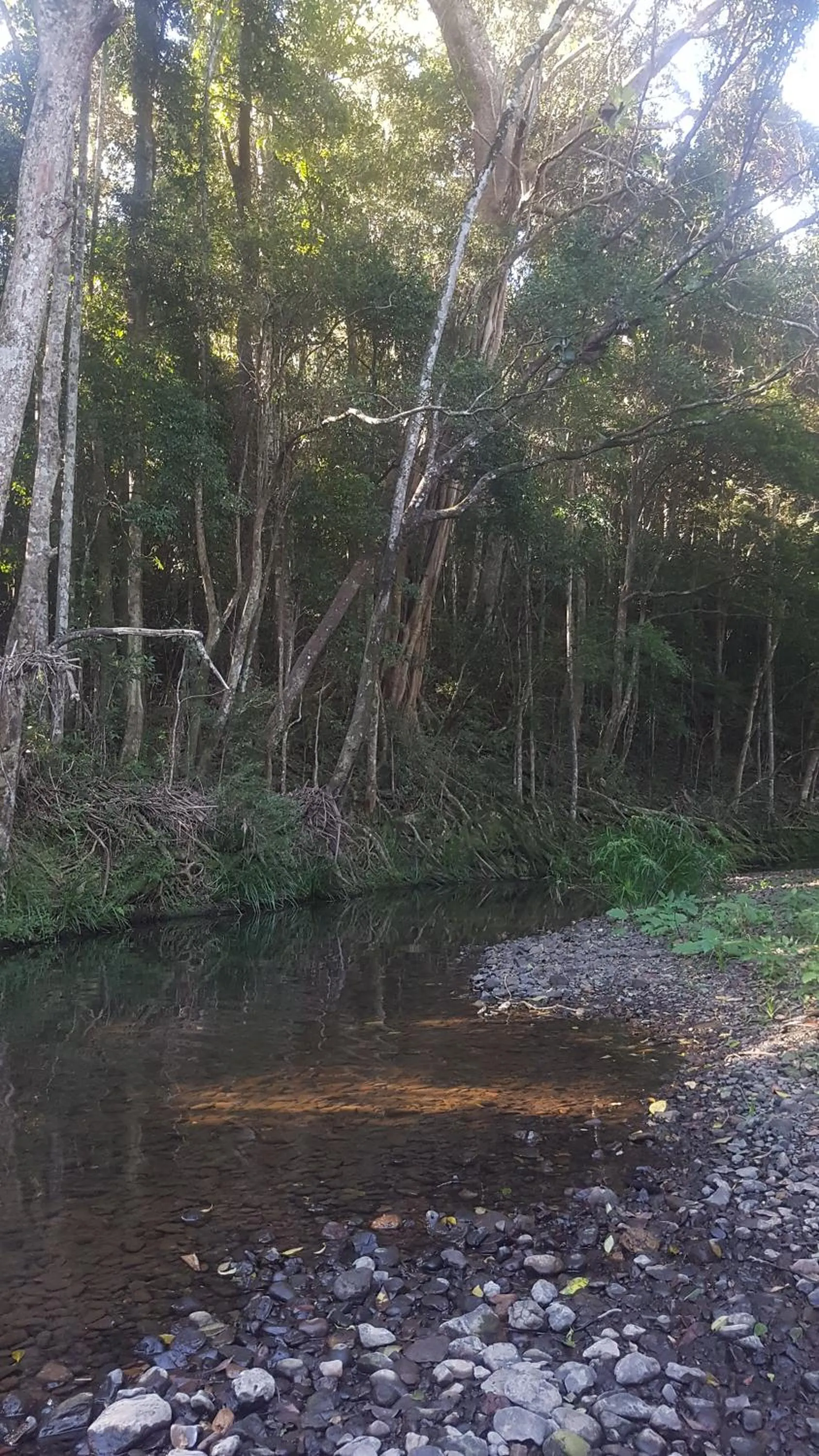 Natural landscape in Starry Nights Luxury Camping